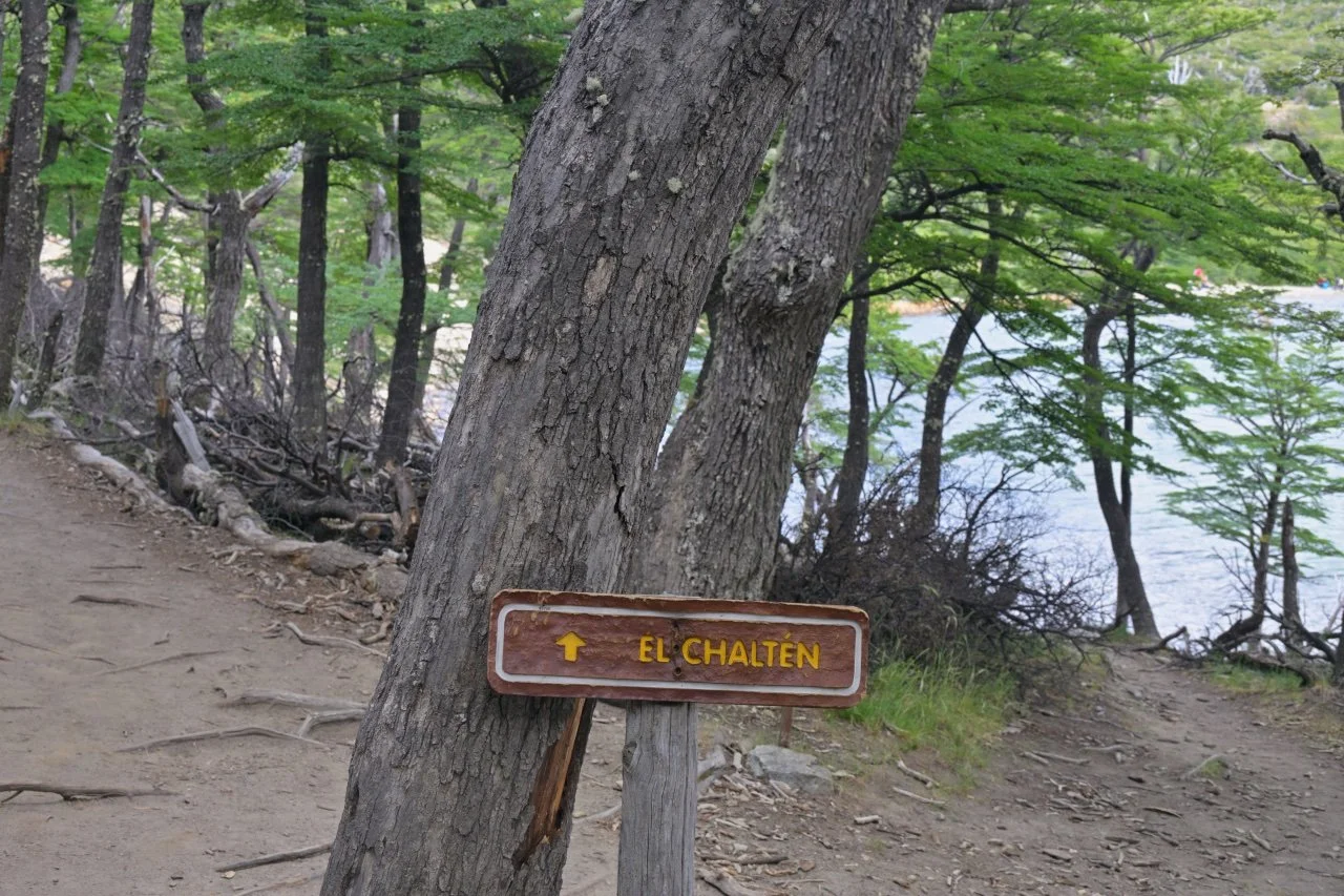 Going back to the town