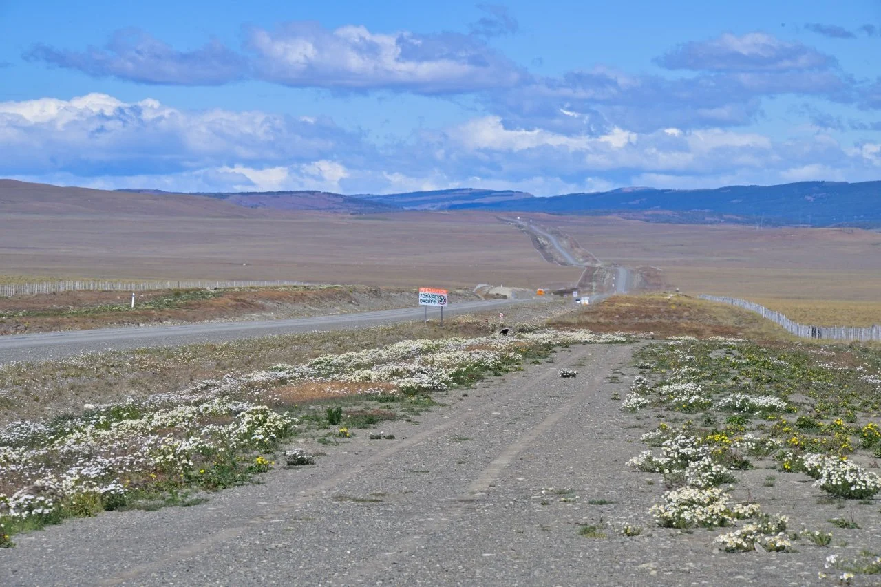  Pretty boring landscape