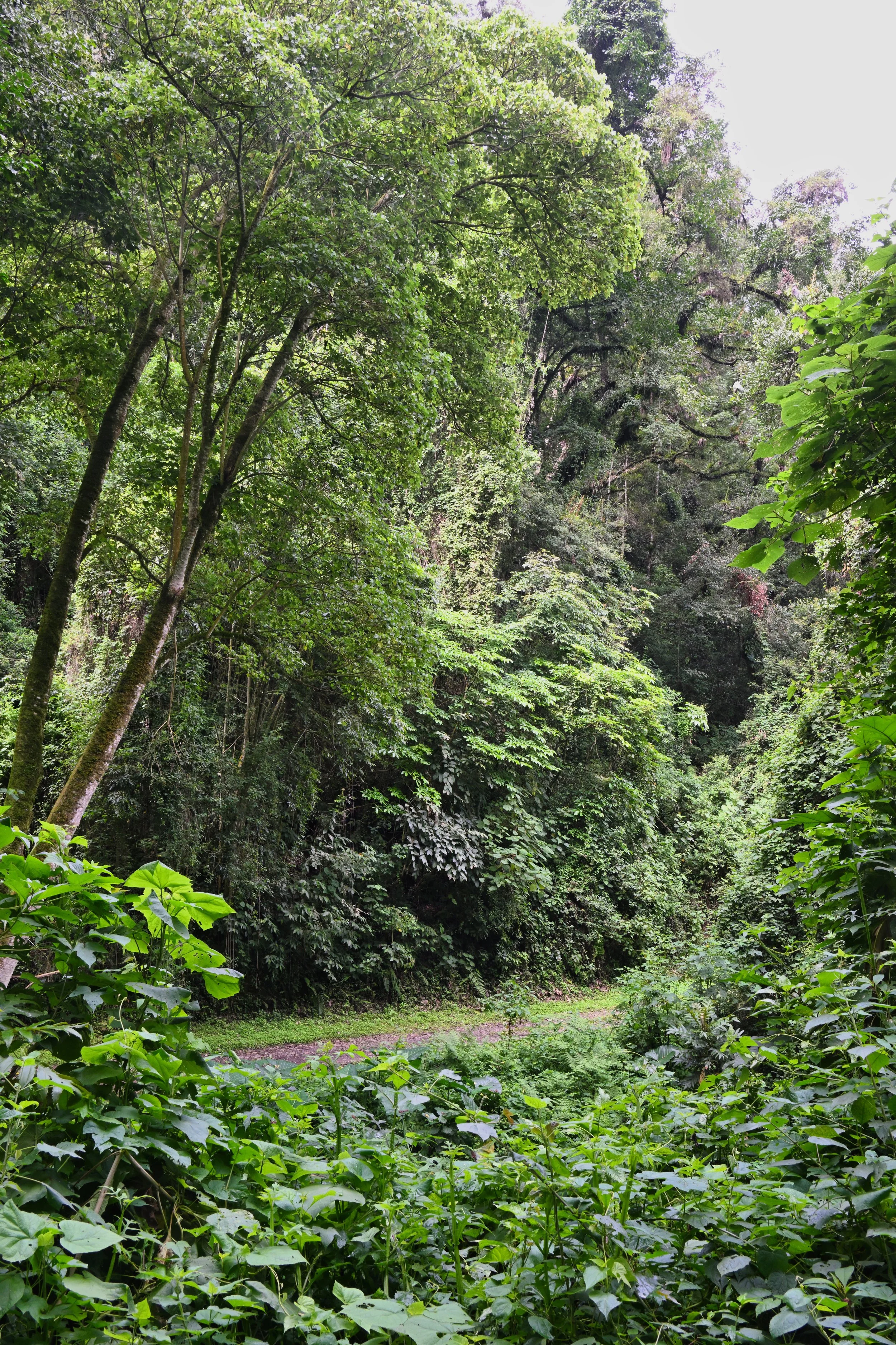 not a good place to get lost