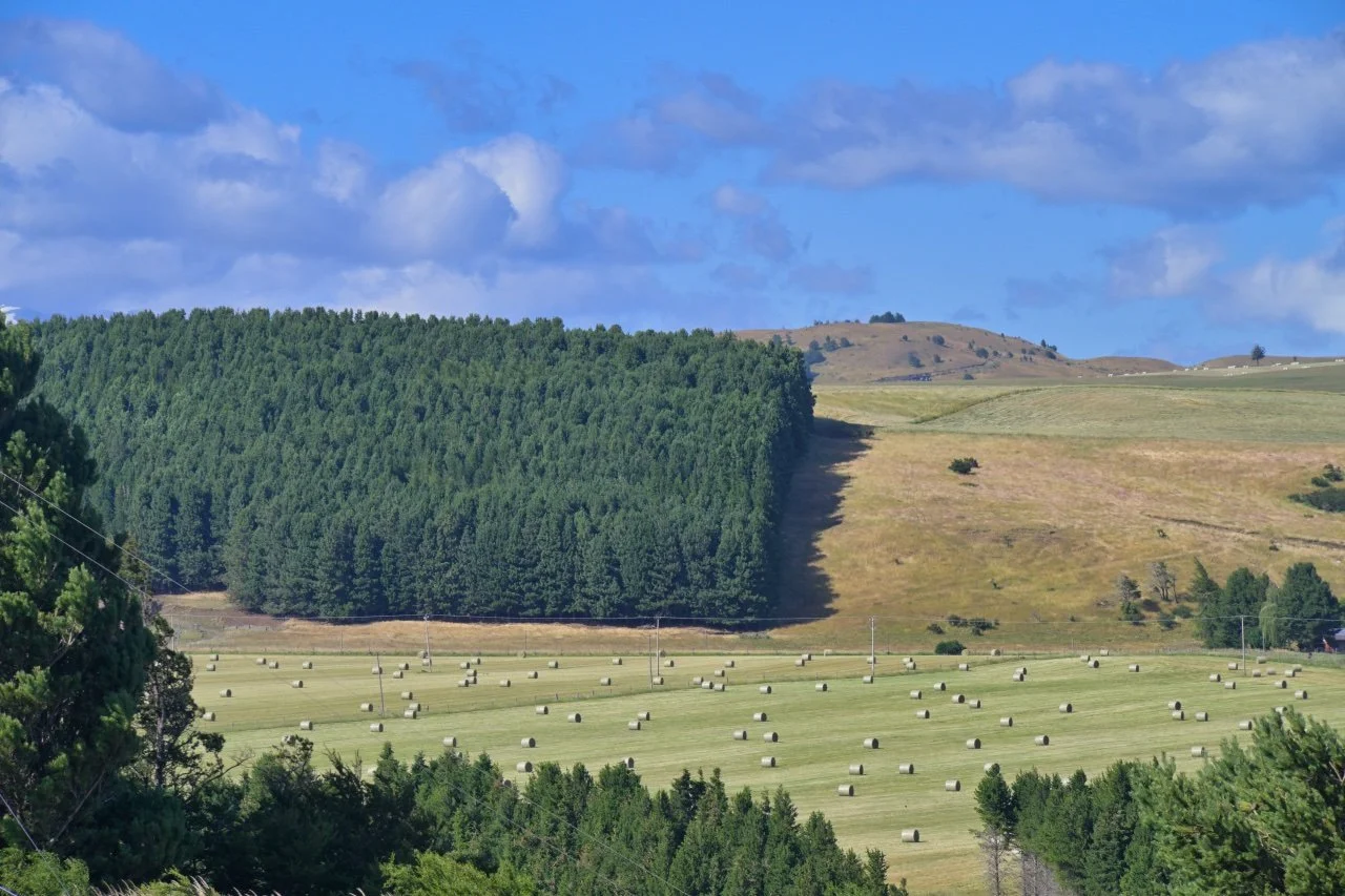  summer is over in Patagonia