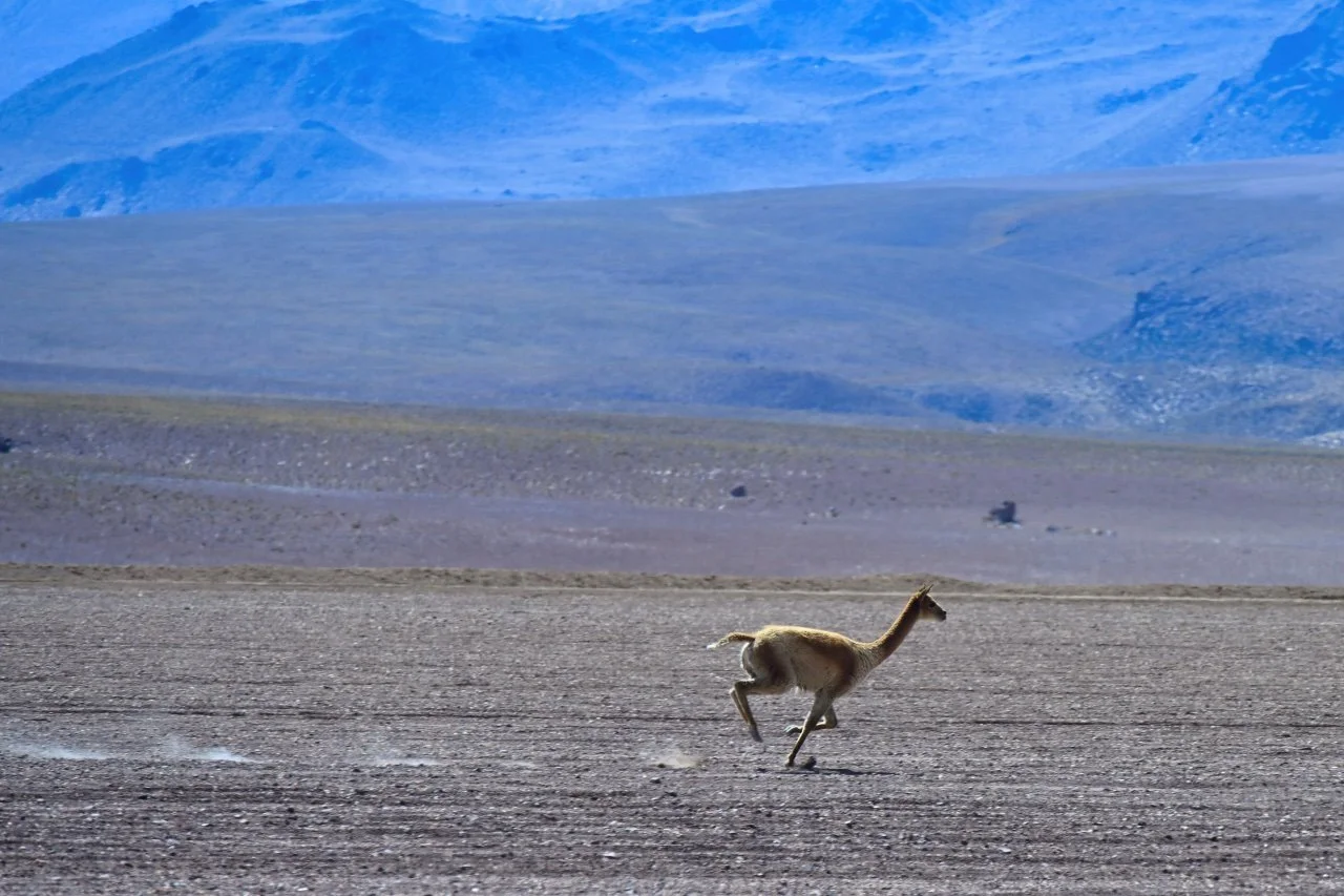  trying to catch up with her buddies