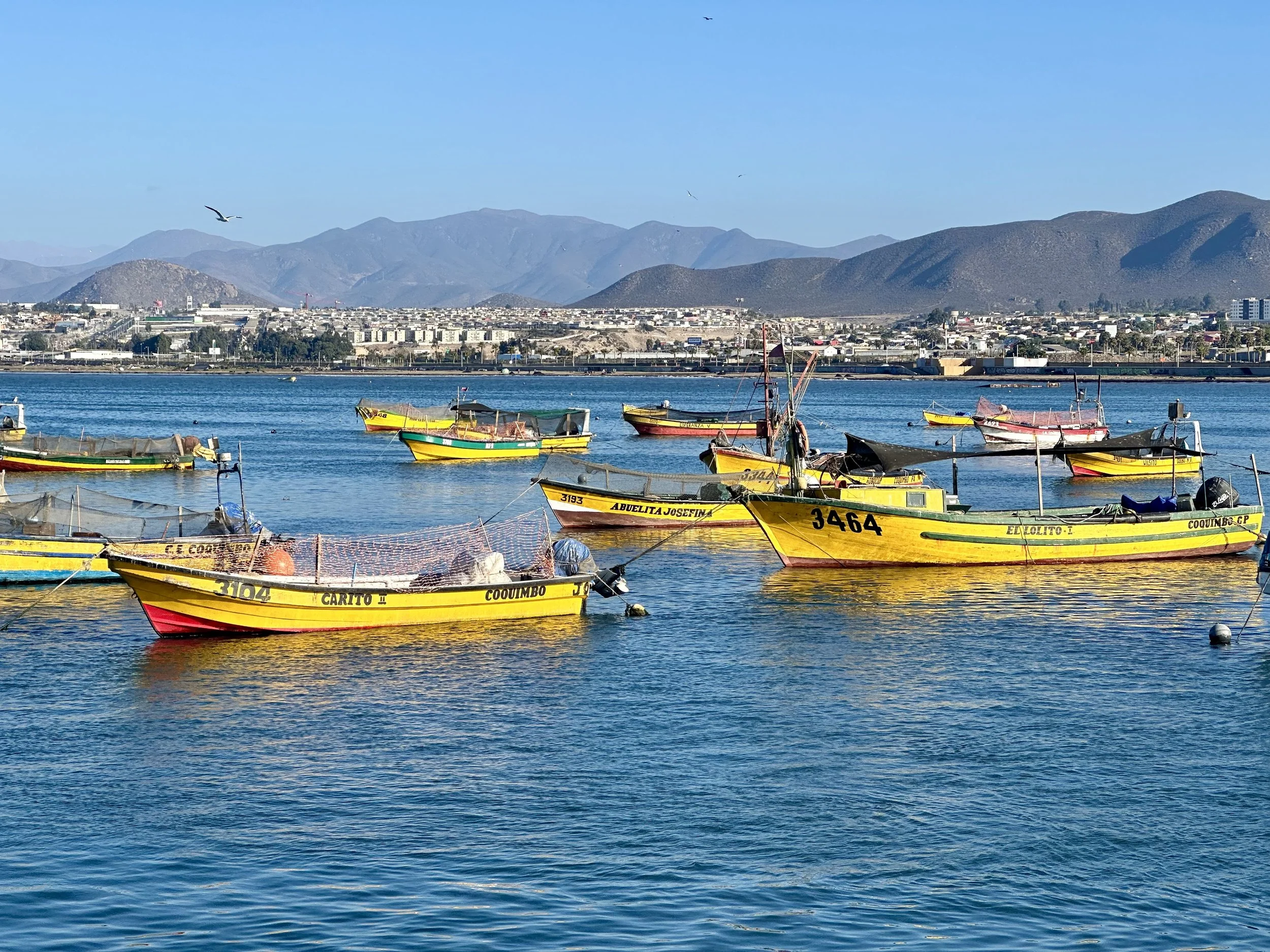  fishing port, in the evening