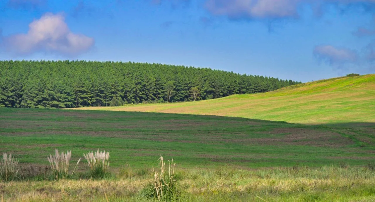  this is just like Europe