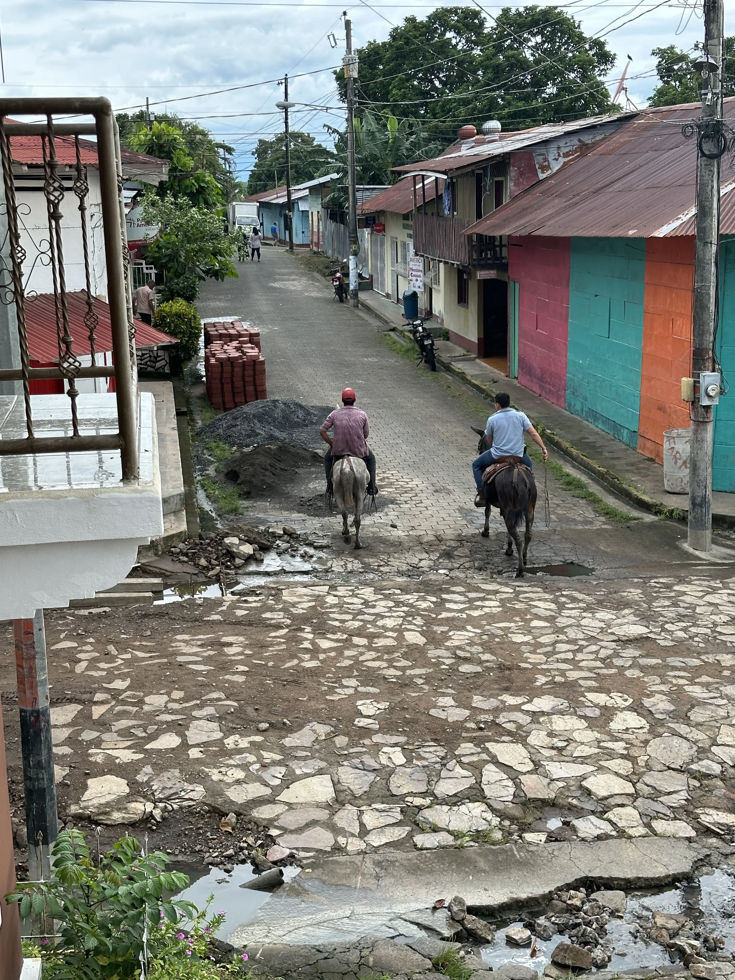 main means of transportation