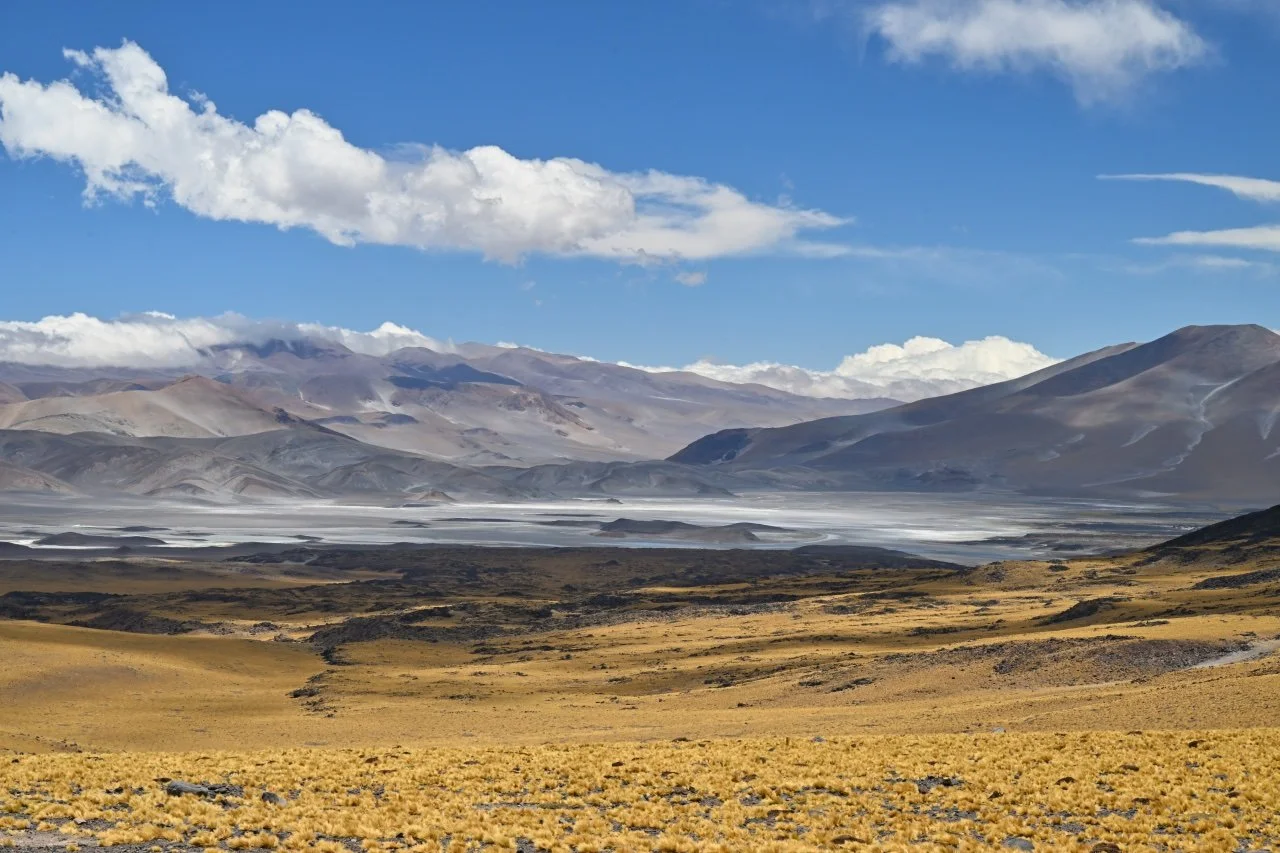  this looks like a painting