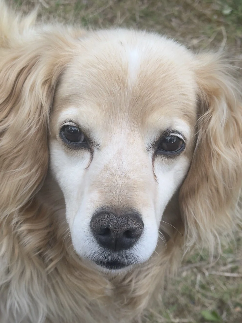  another hungry friend