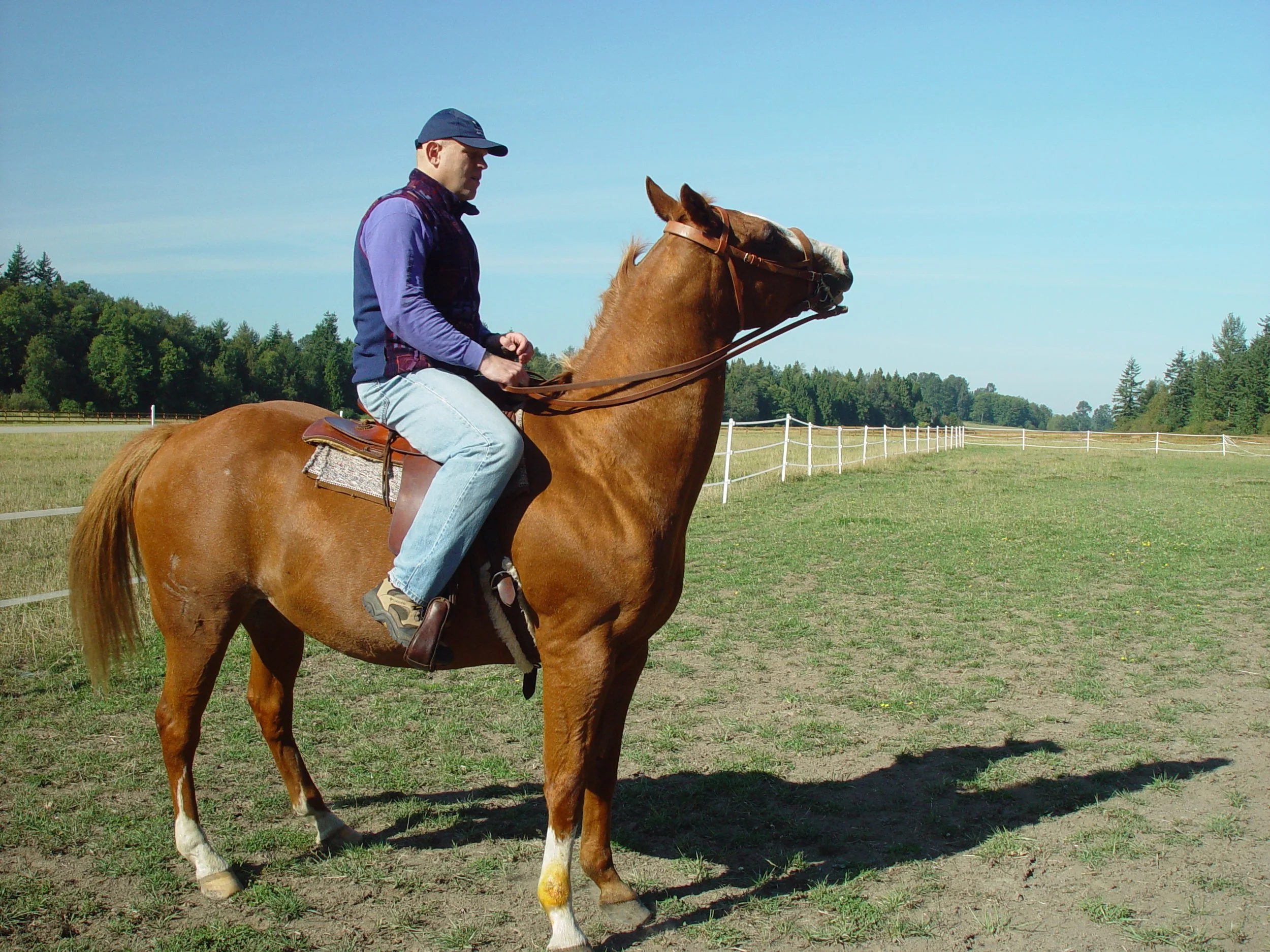 taming the beast. Not sure which one is which