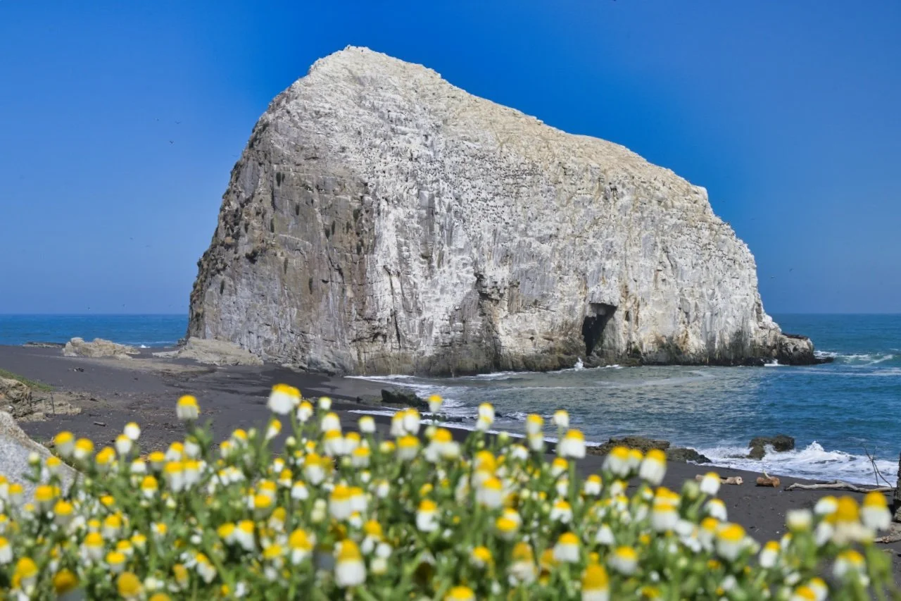 this is Cathedral rock