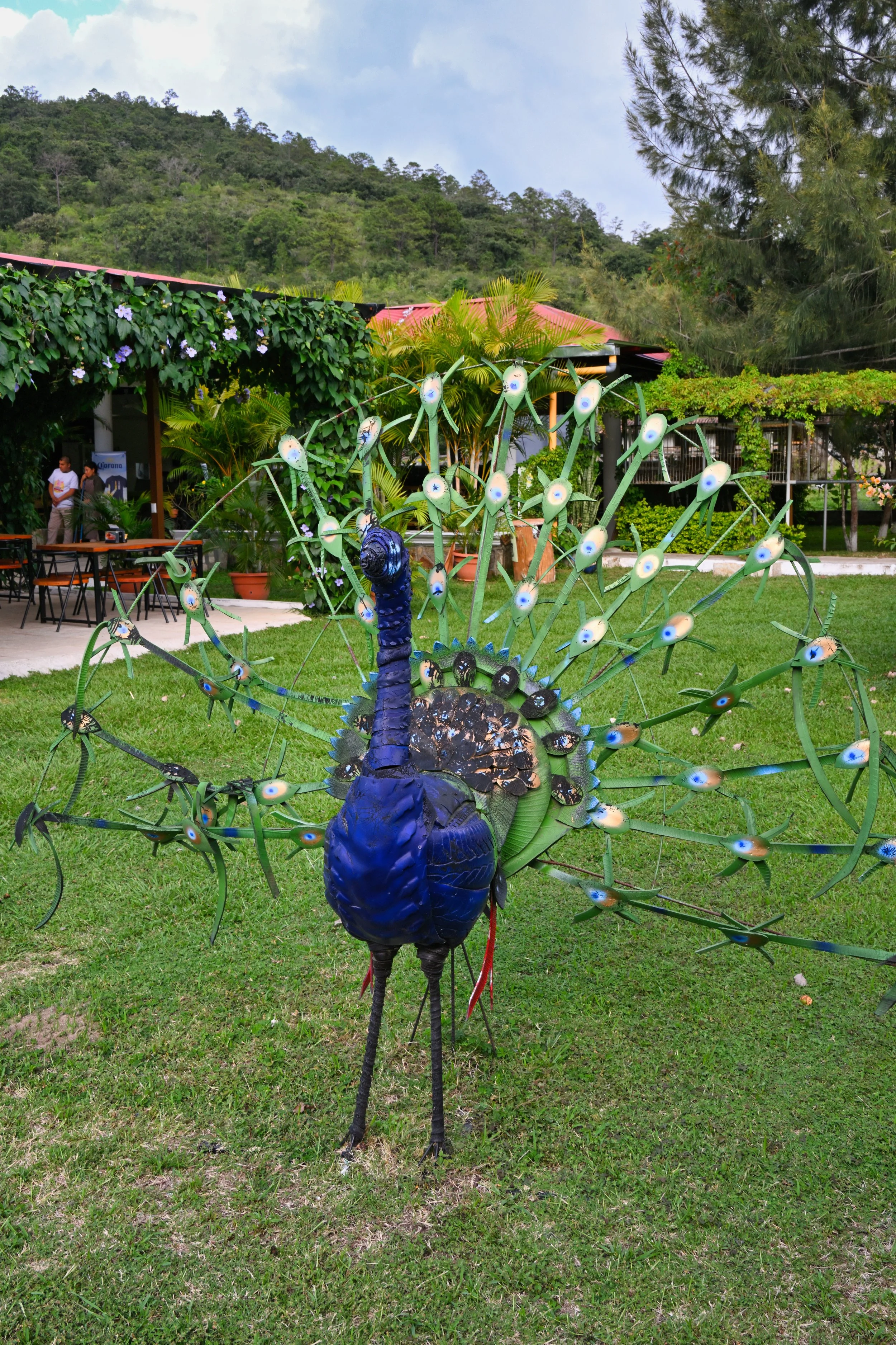 a metal peacock 