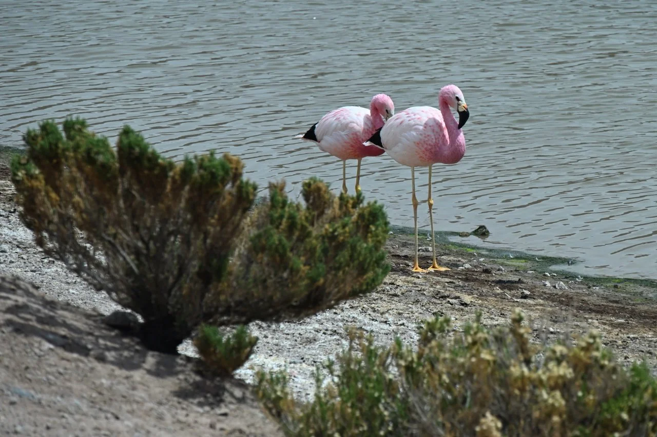  those two were always together friend tire one hour I spend there