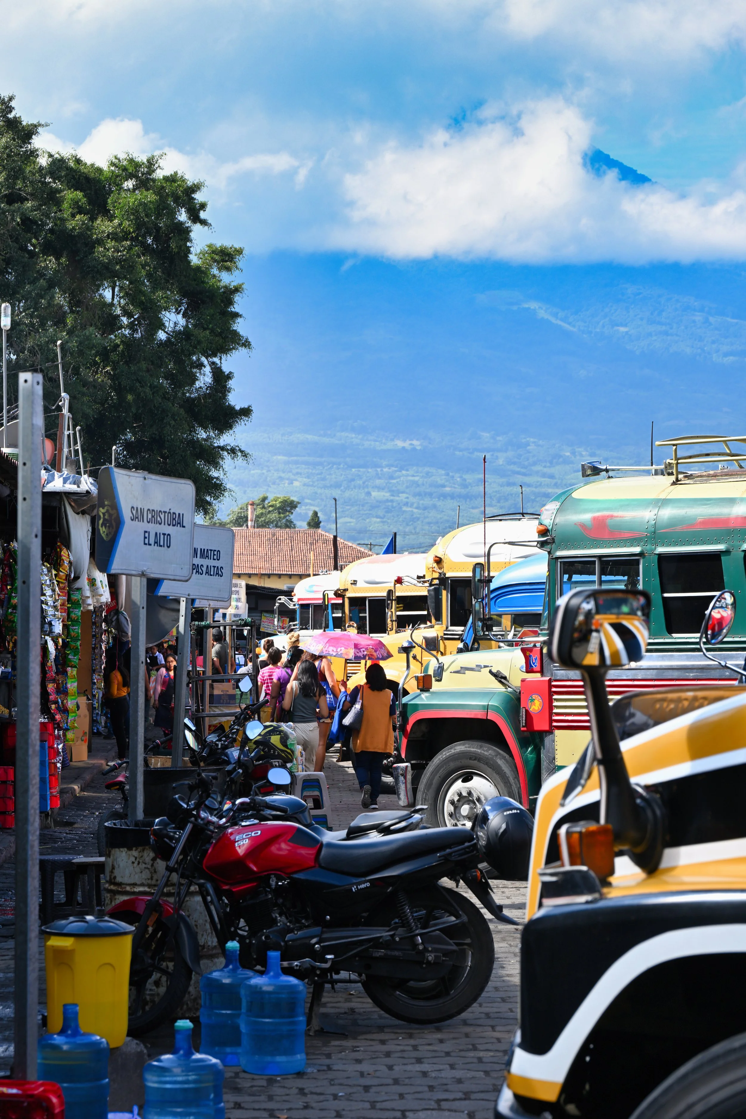 how do you know which bus to take???