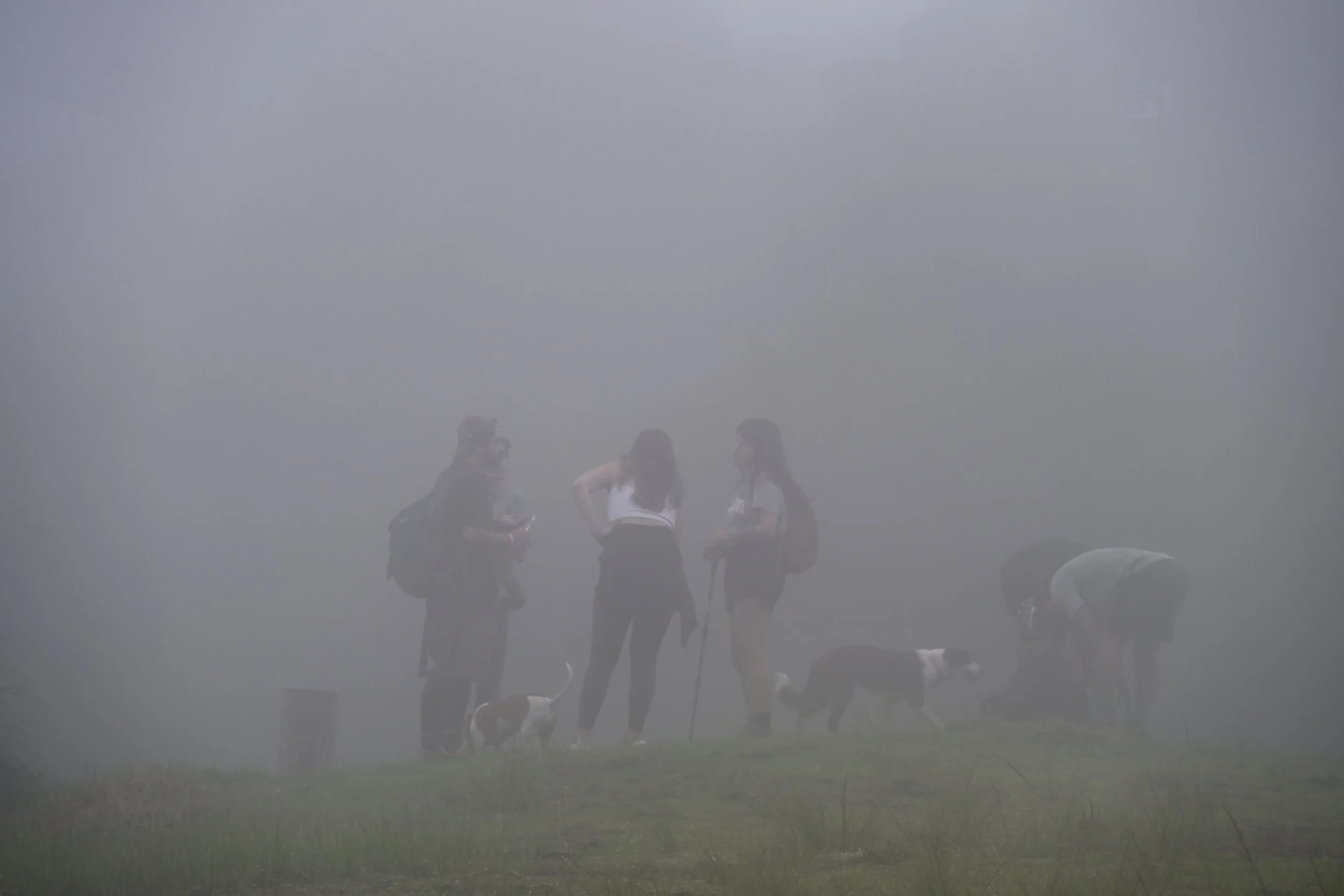 more people came to admire the view. These are cheaters. They came in the car half way up the hill