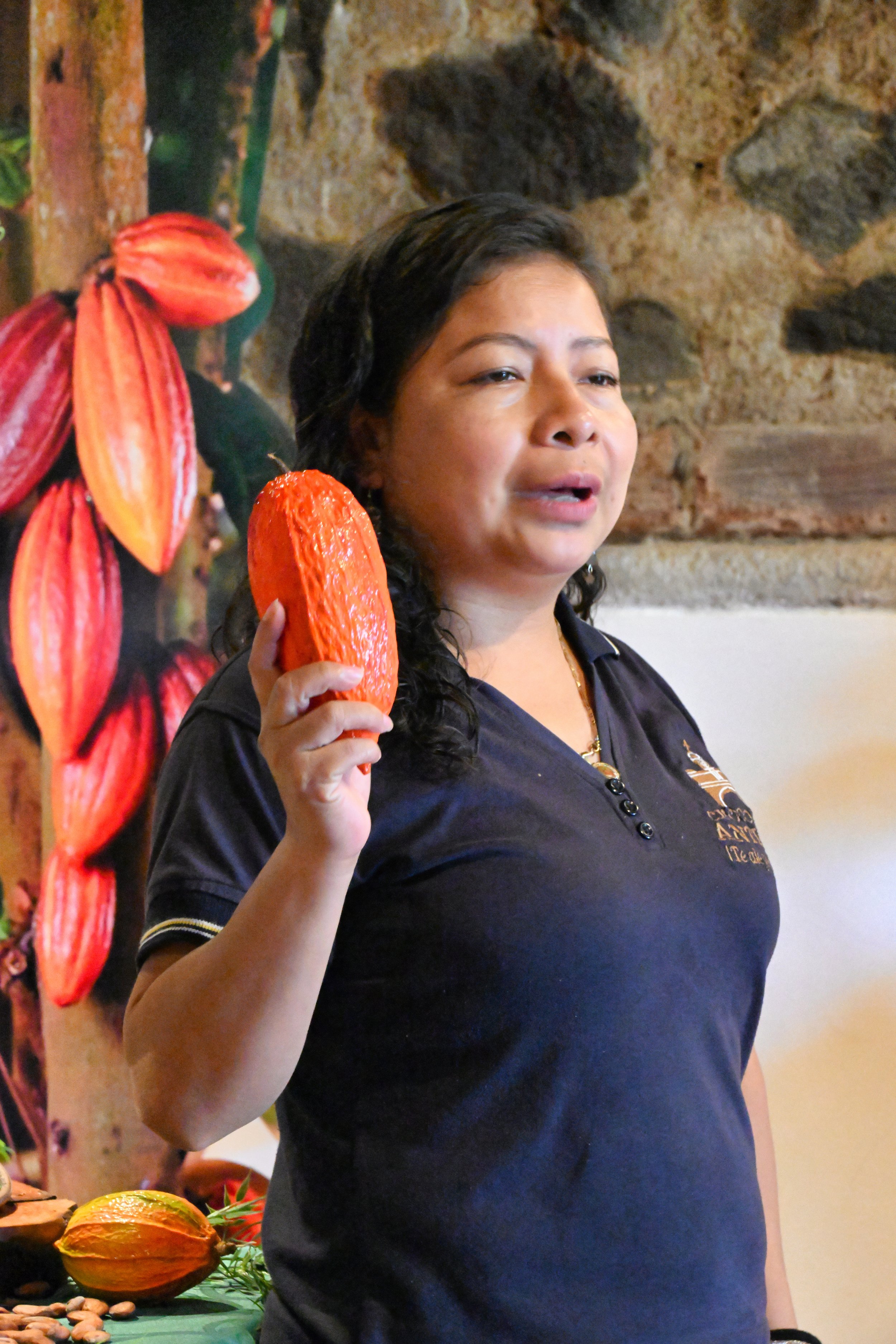 this is what chocolate is made from