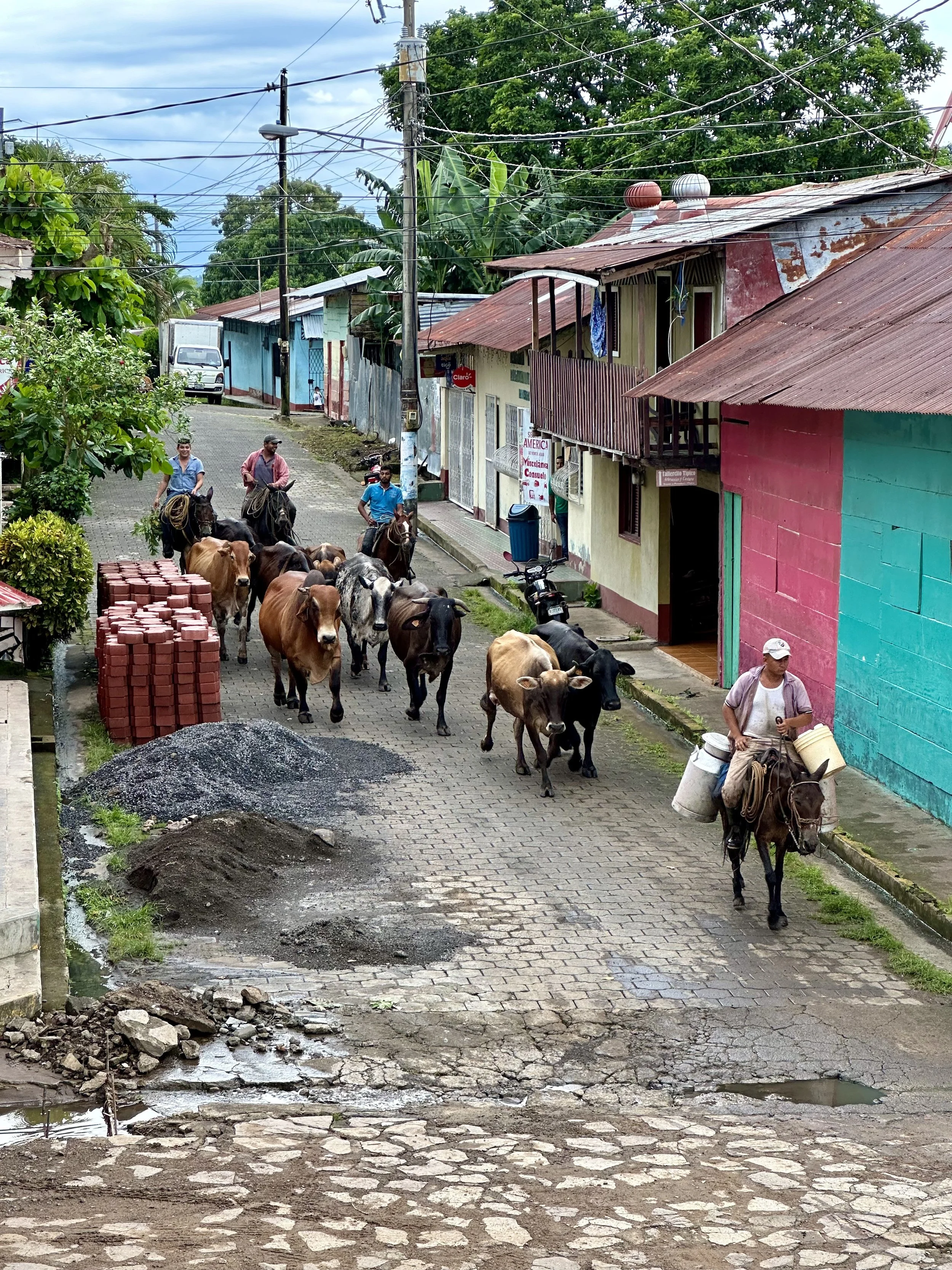 a common sight in NIC