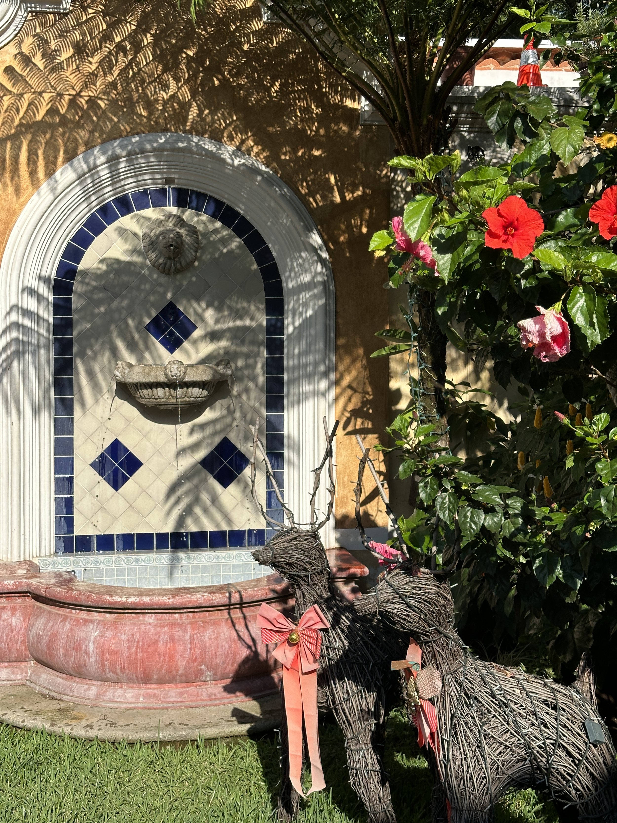 fountains in the garden