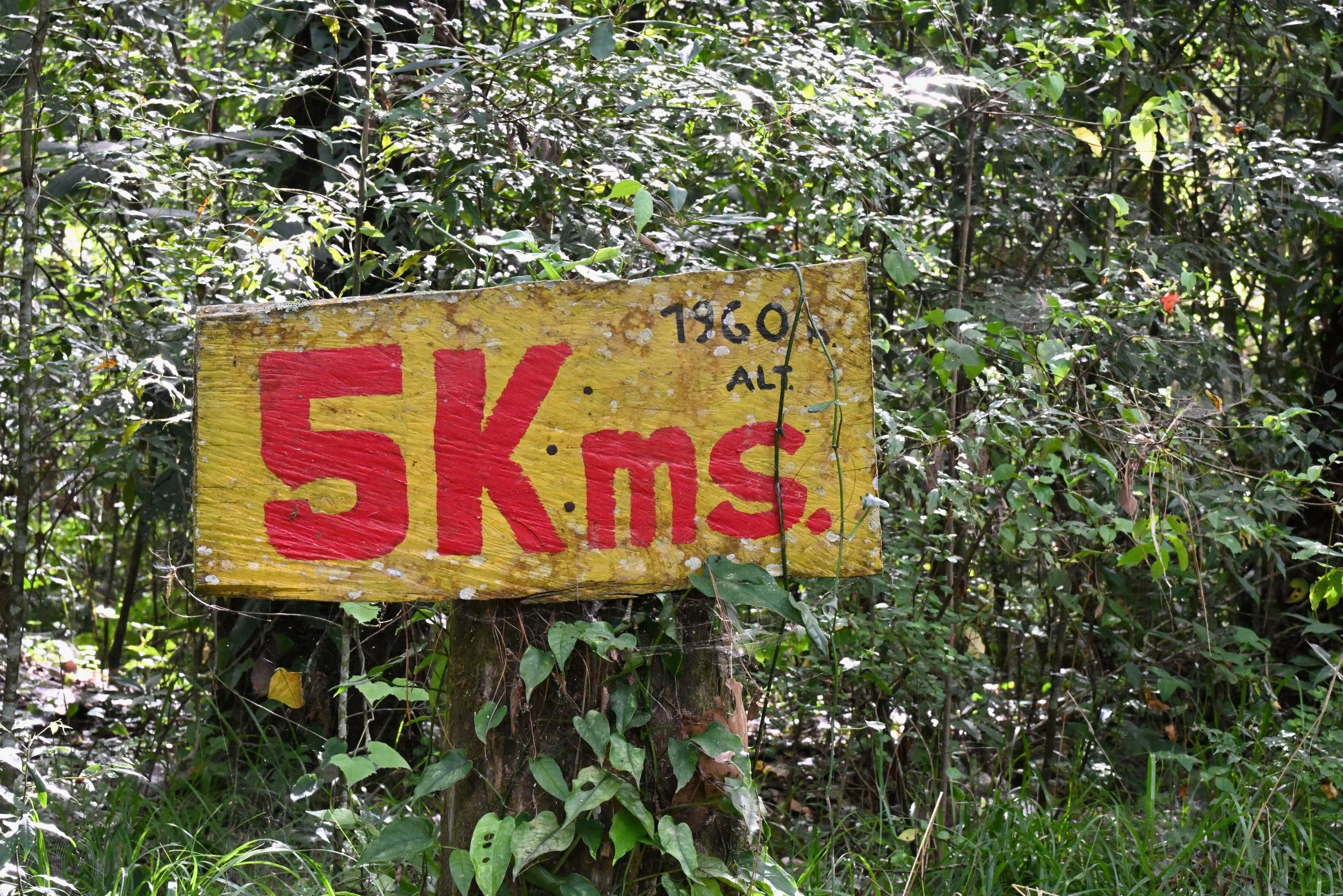 slowly getting closer