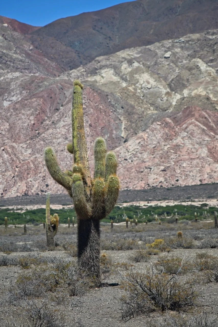  I feel those cock giving me the middle finger
