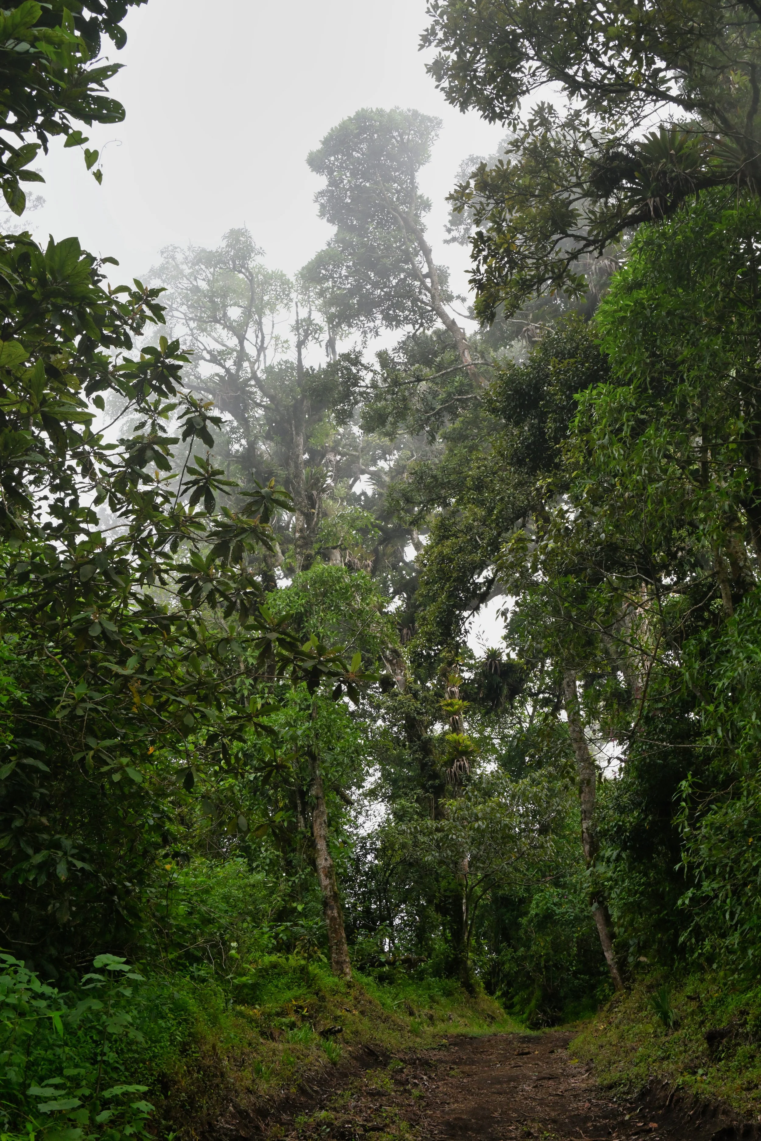 entering the cloud base