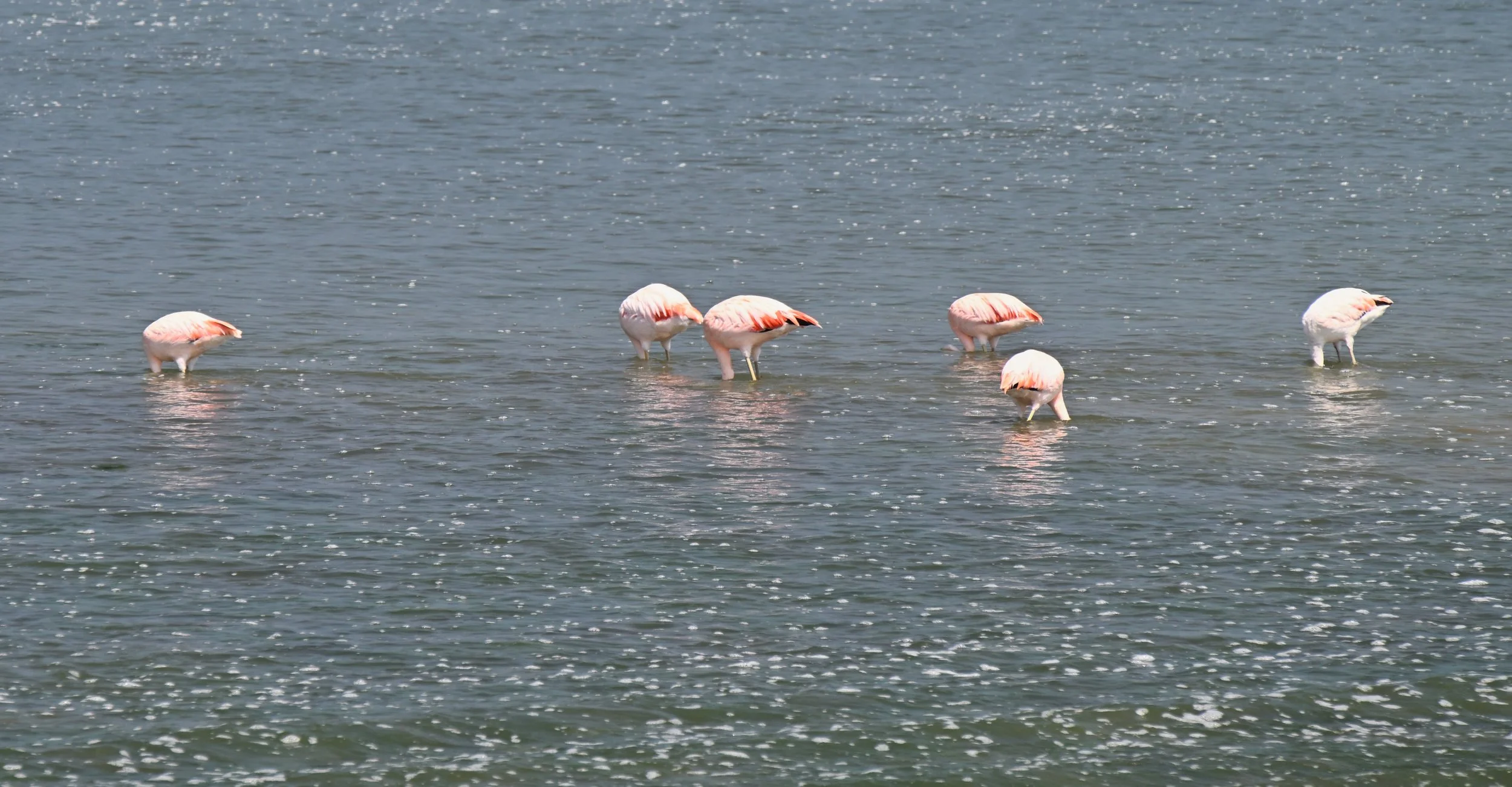 this is where saying "heads down" came from