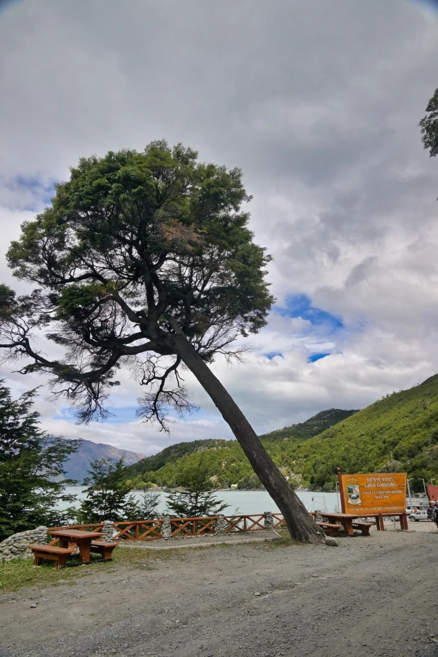  Looks like it is a little bit windy here.