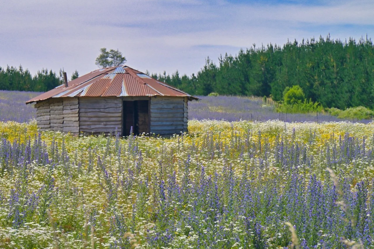  away from the coastline, and in the fields
