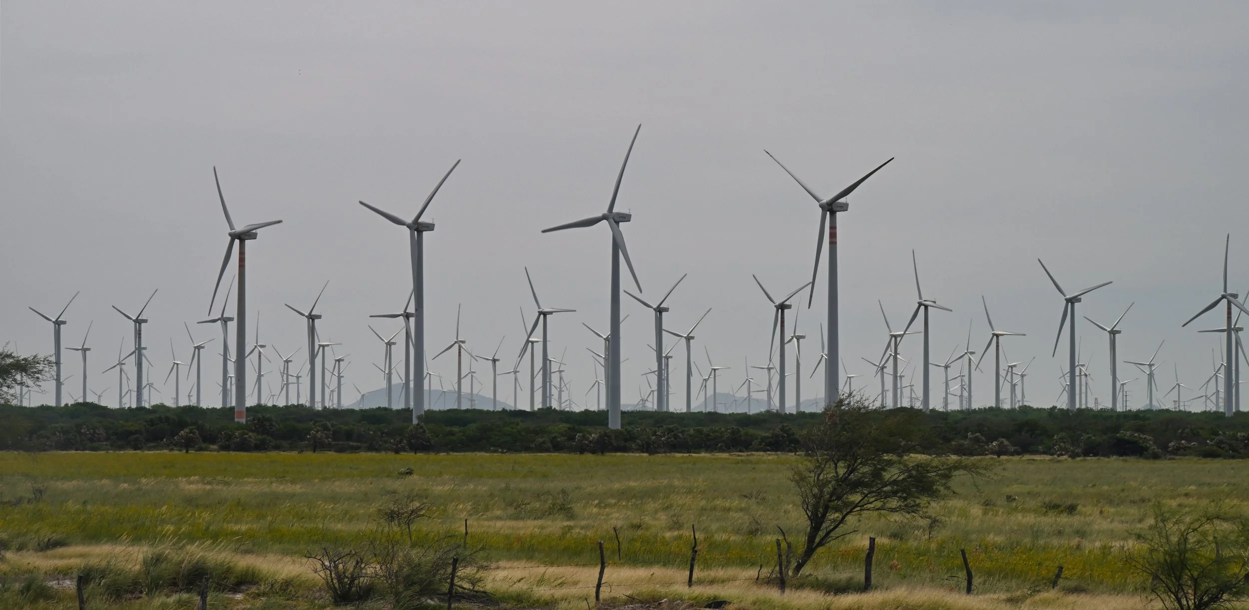 you are surrounded here