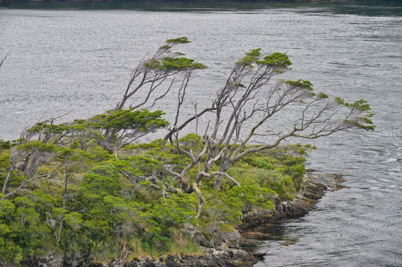  it is easy to see which way is wind blowing