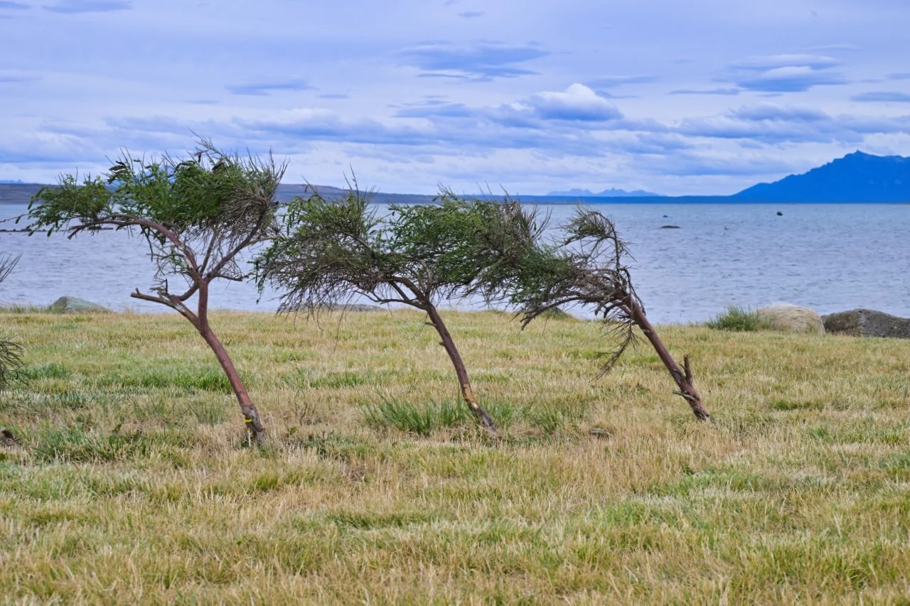 how can you tell which way is the wind blowing?