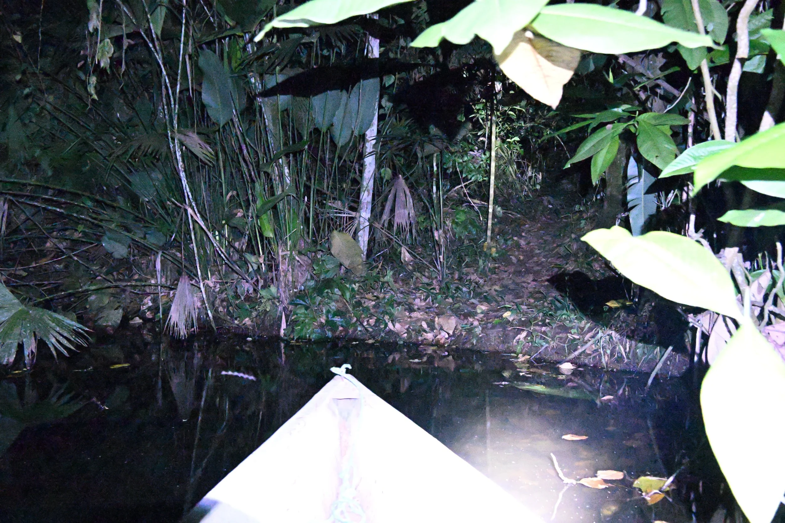 waiting for something (nobody showed up)