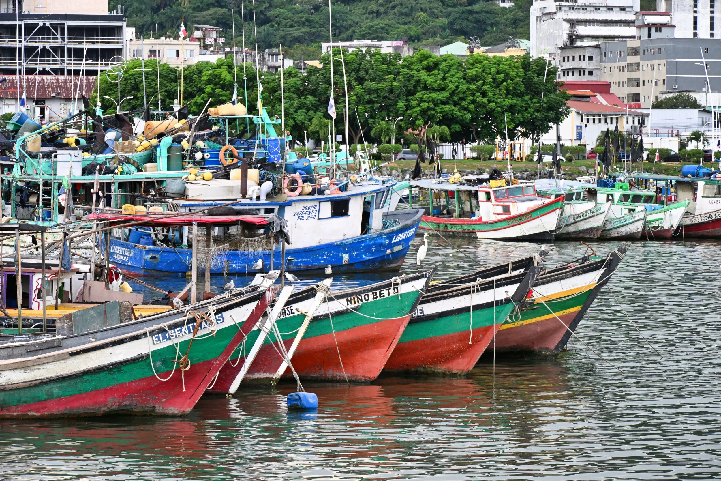 fishing port
