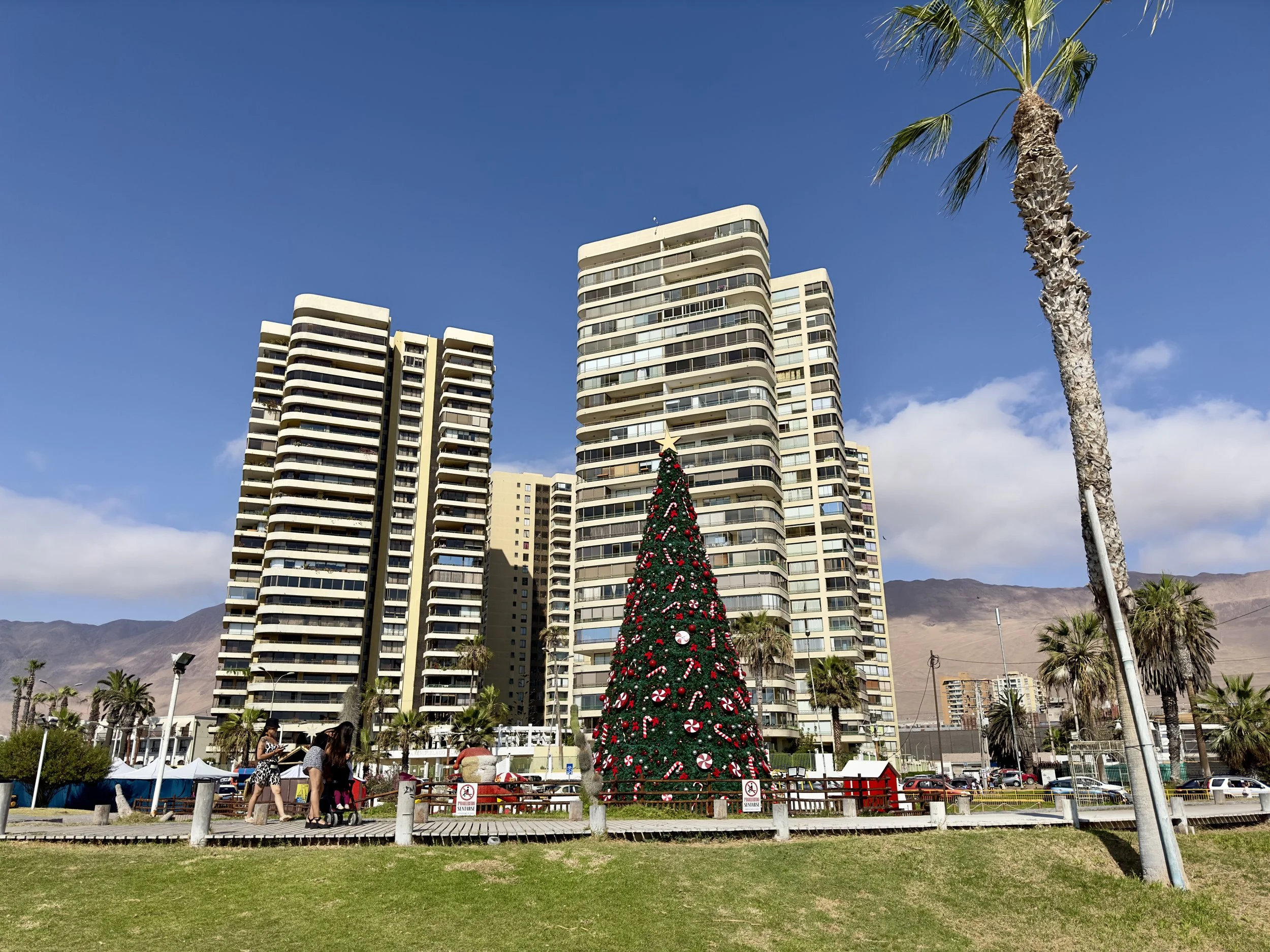 getting ready for xmas