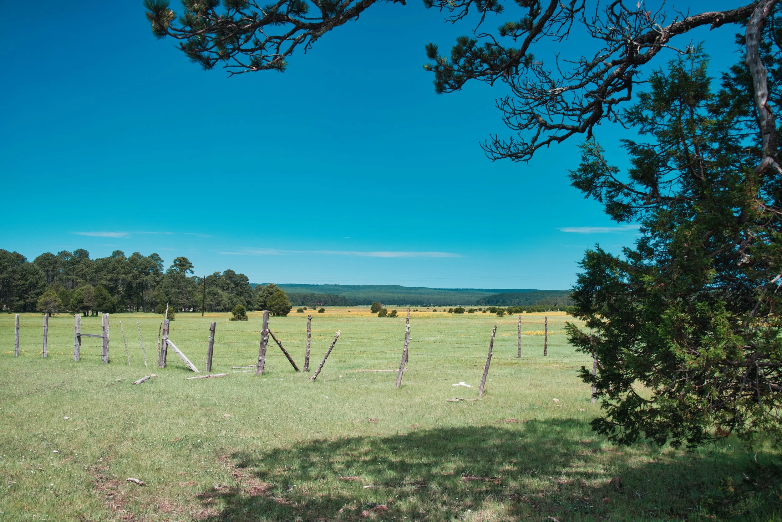 this could be anywhere in BC