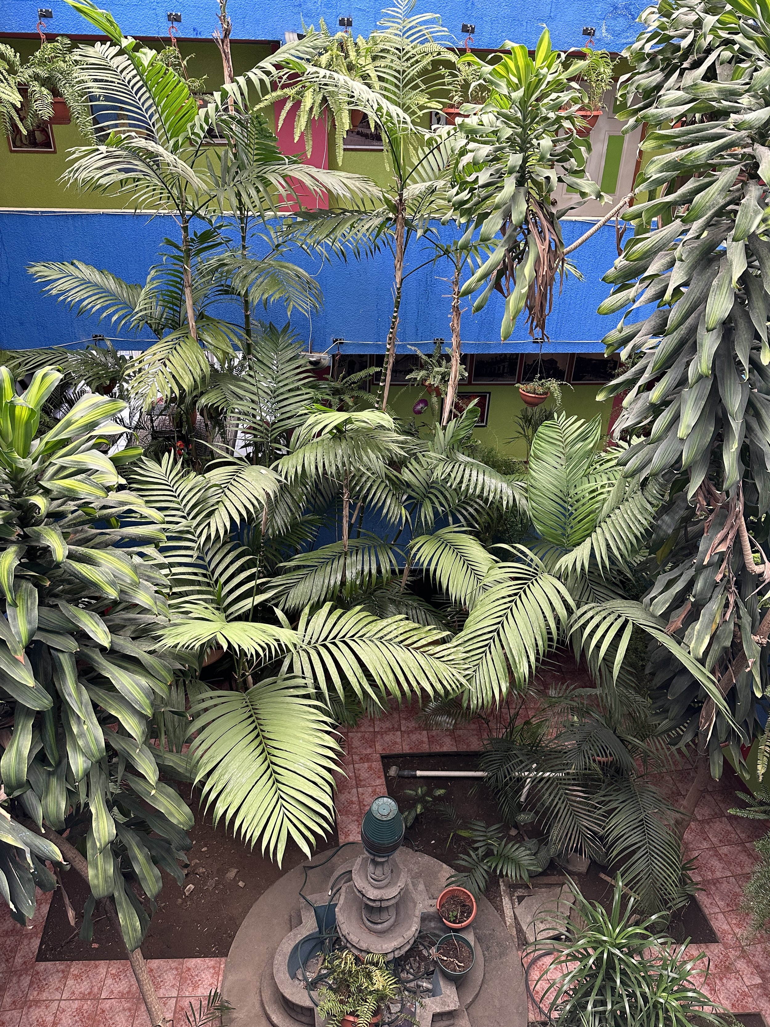 inside the hotel, it is a botanical garden