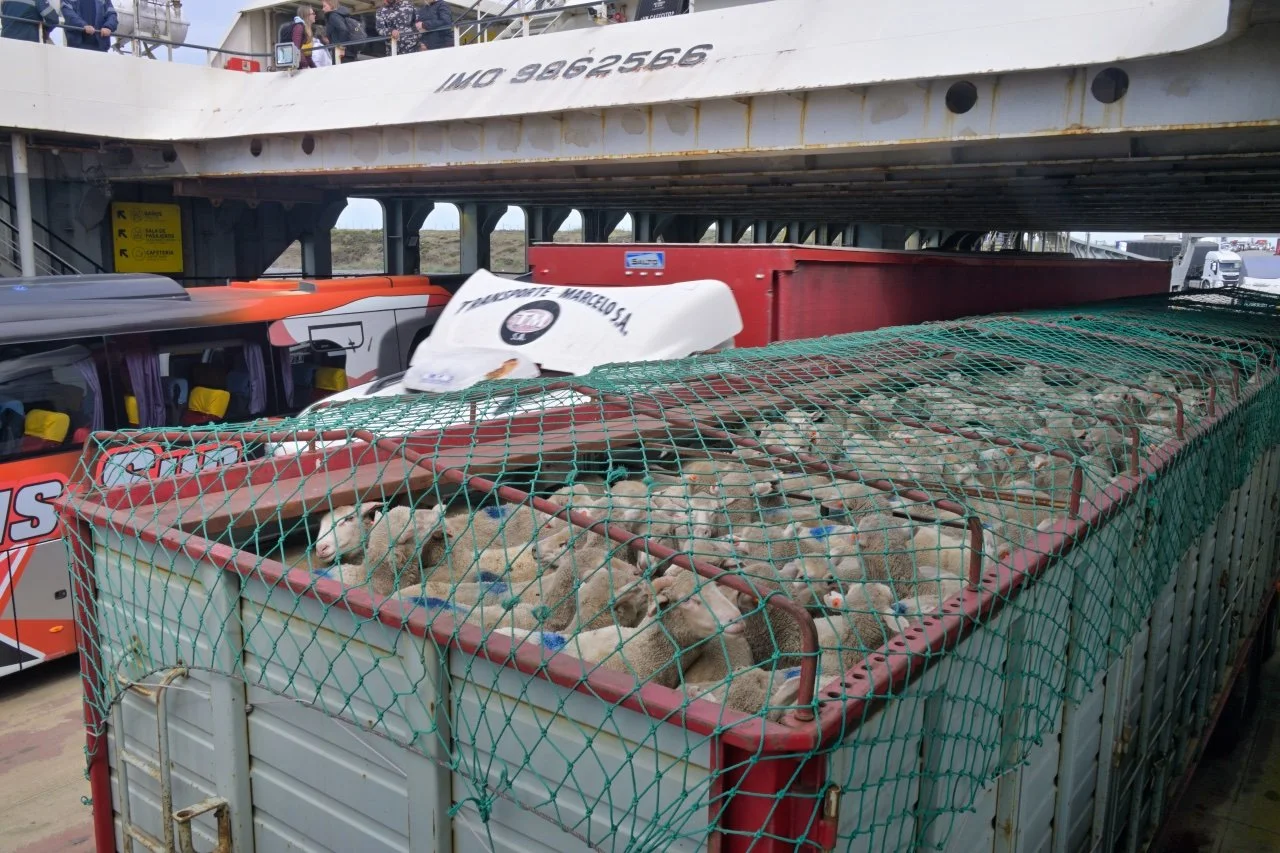 a self loading cargo