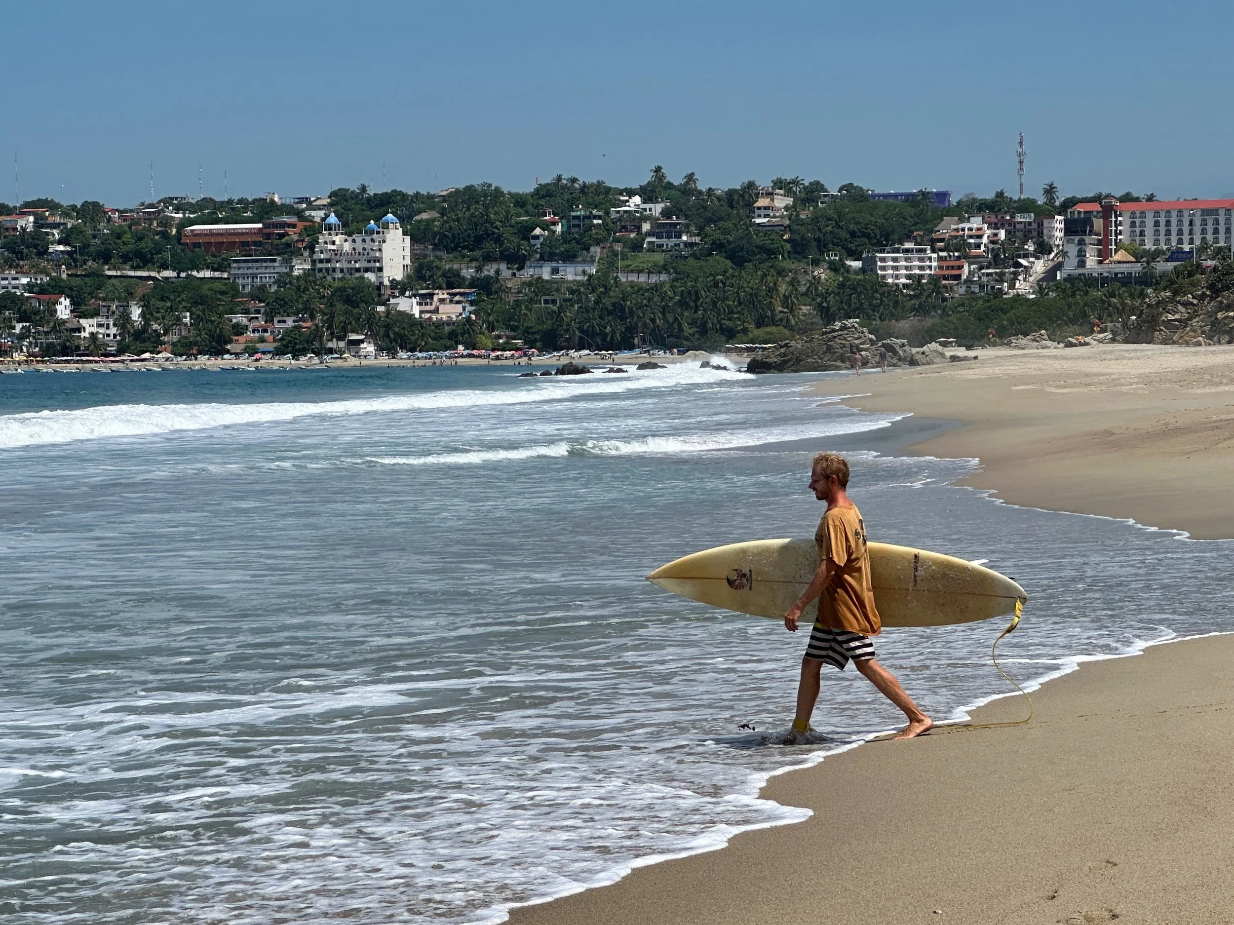 many of these dudes here