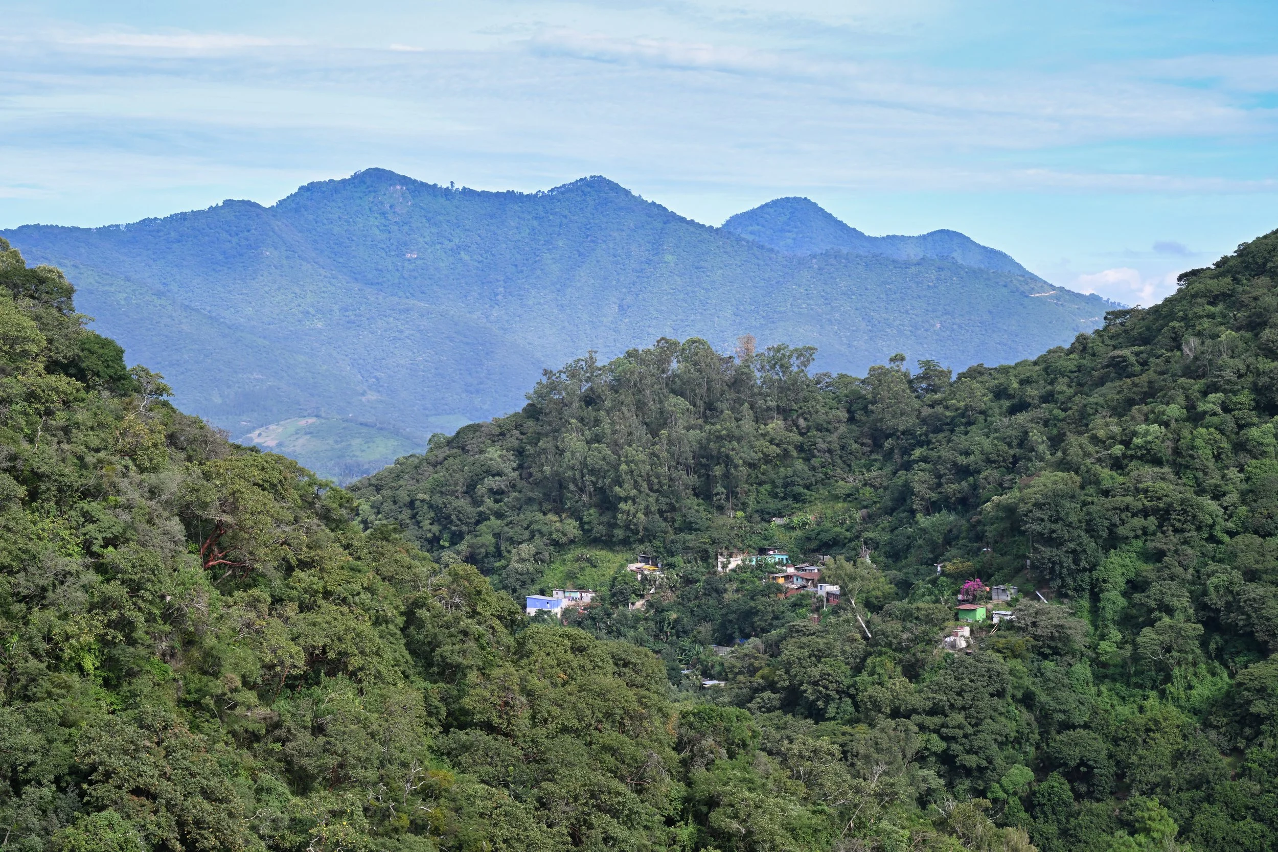 quickly gaining altitude in the jungle