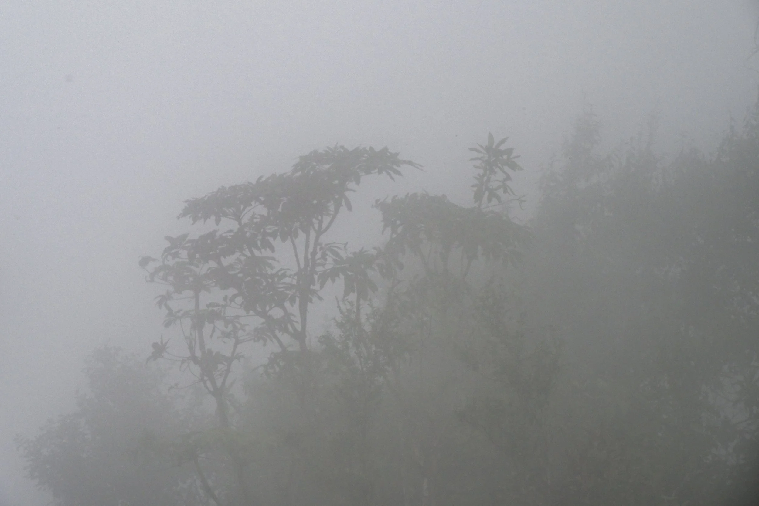 the view is "outstanding" ...