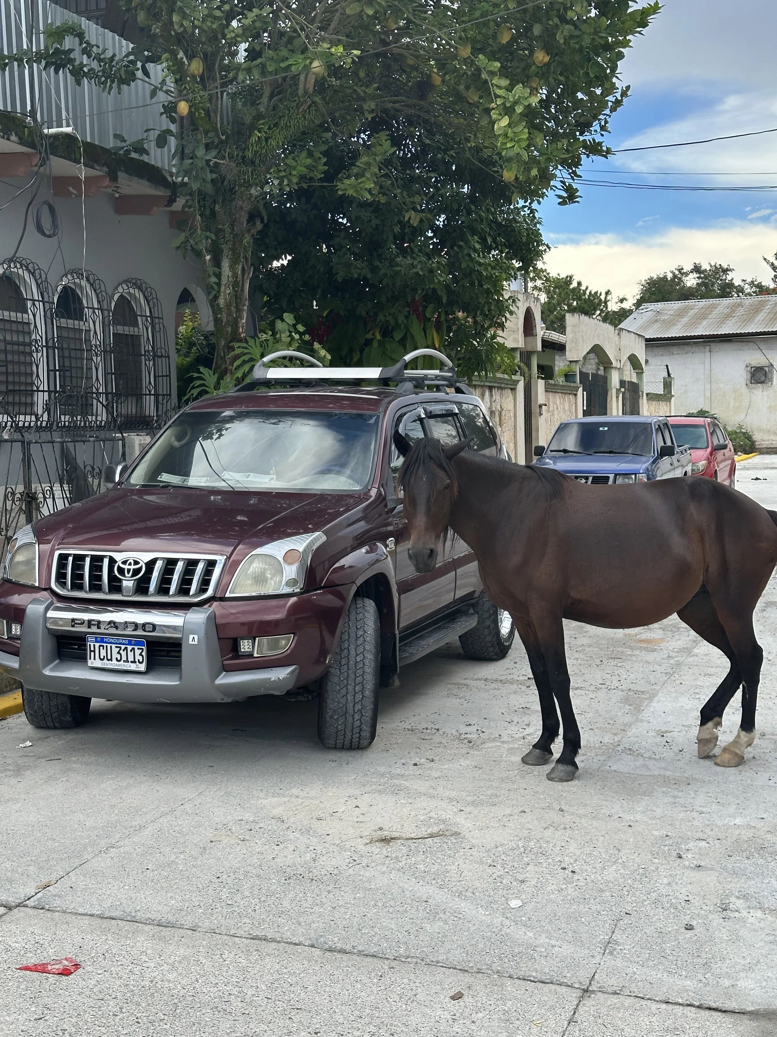 how much horse power is that?