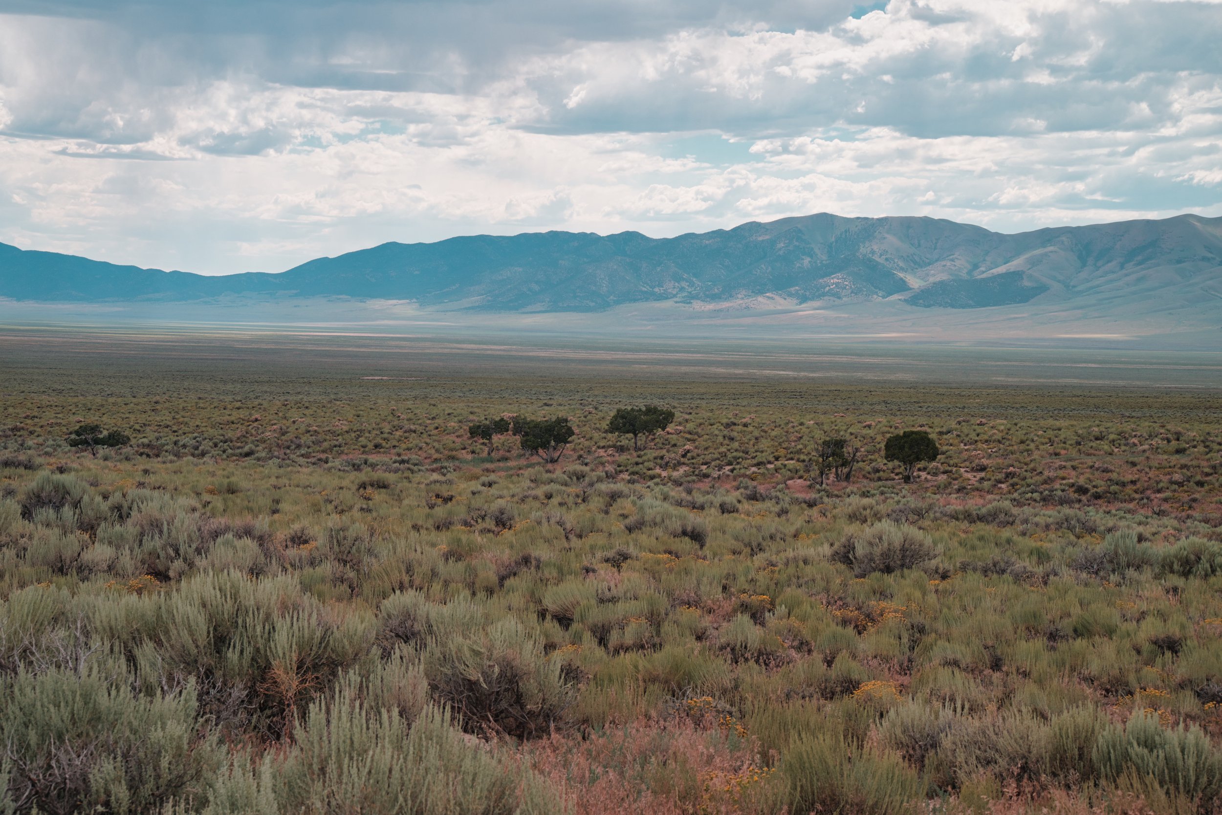 huge valleys full of ... nothing but tumbleweeds. I am sure there is a rattlesnake or two there
