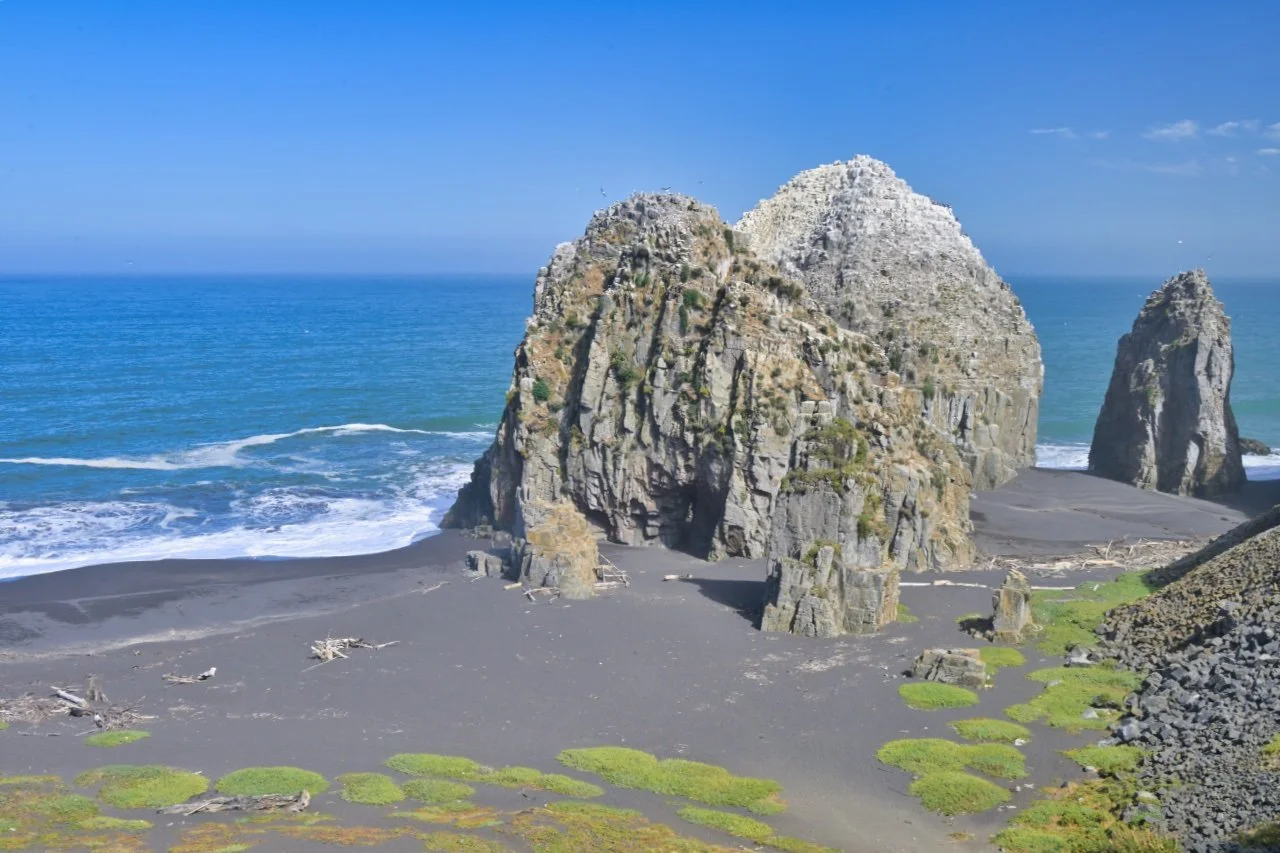  there are many rocks on the beach like this
