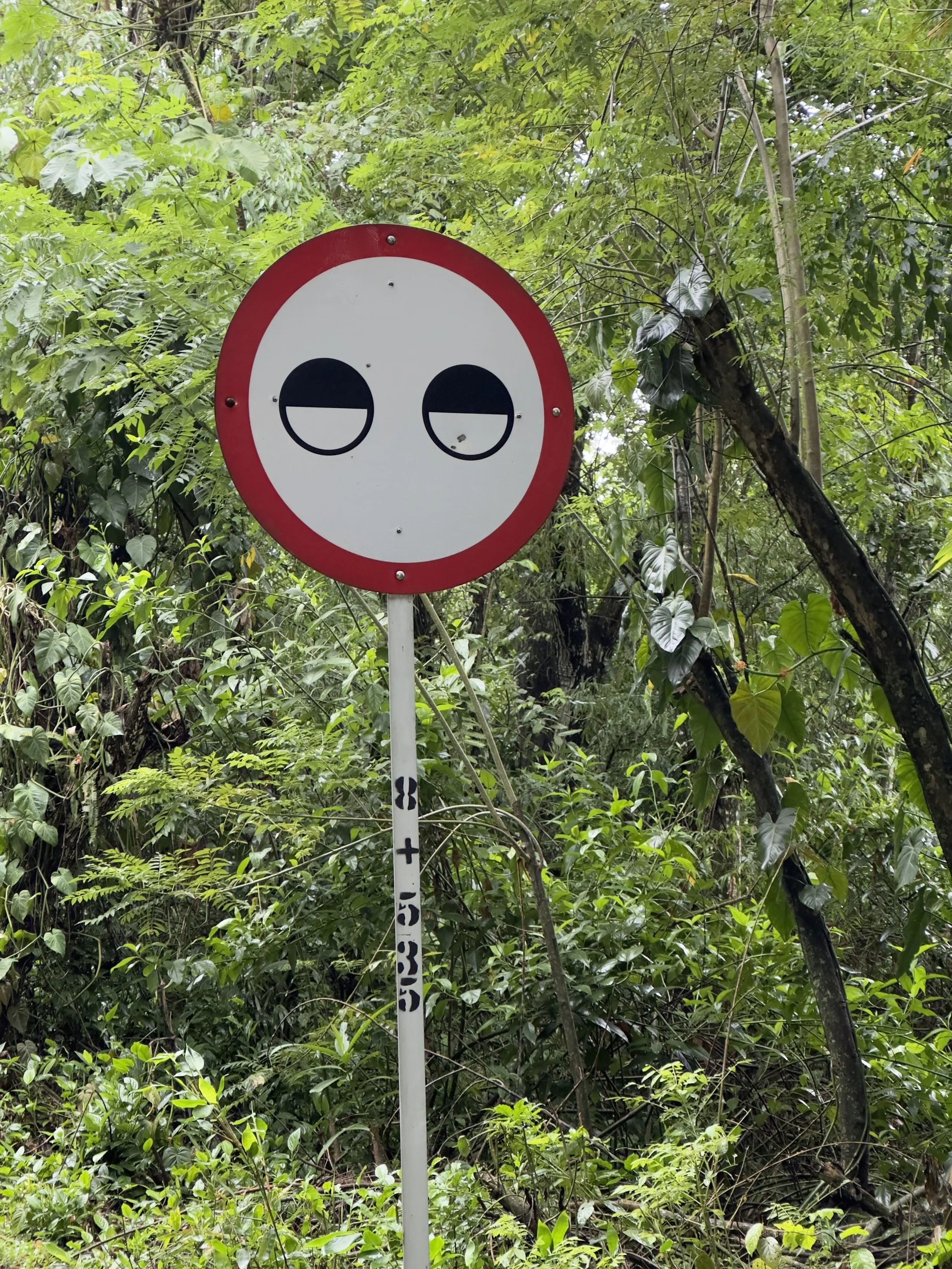 anybody has an idea what this sign mean?