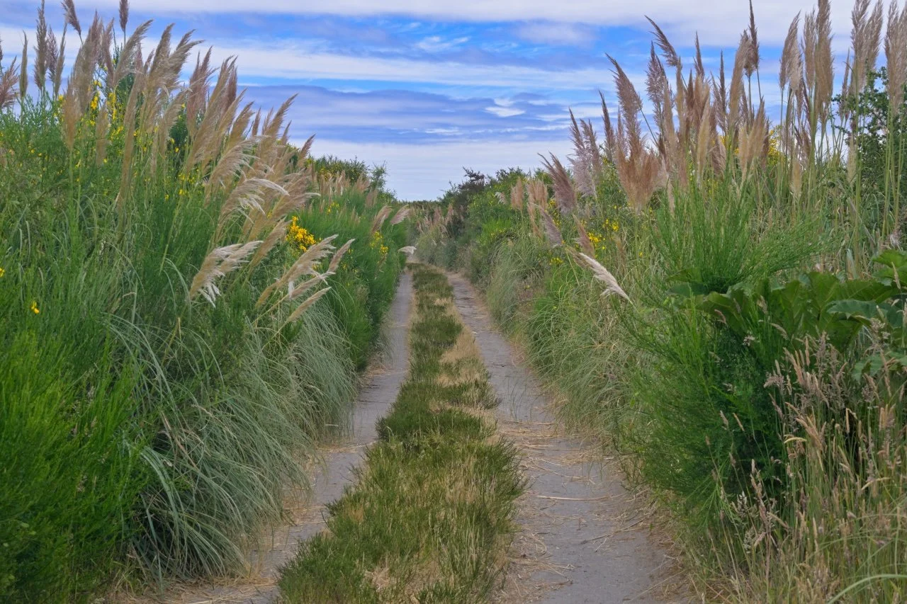  I hope I won't get lost over here.