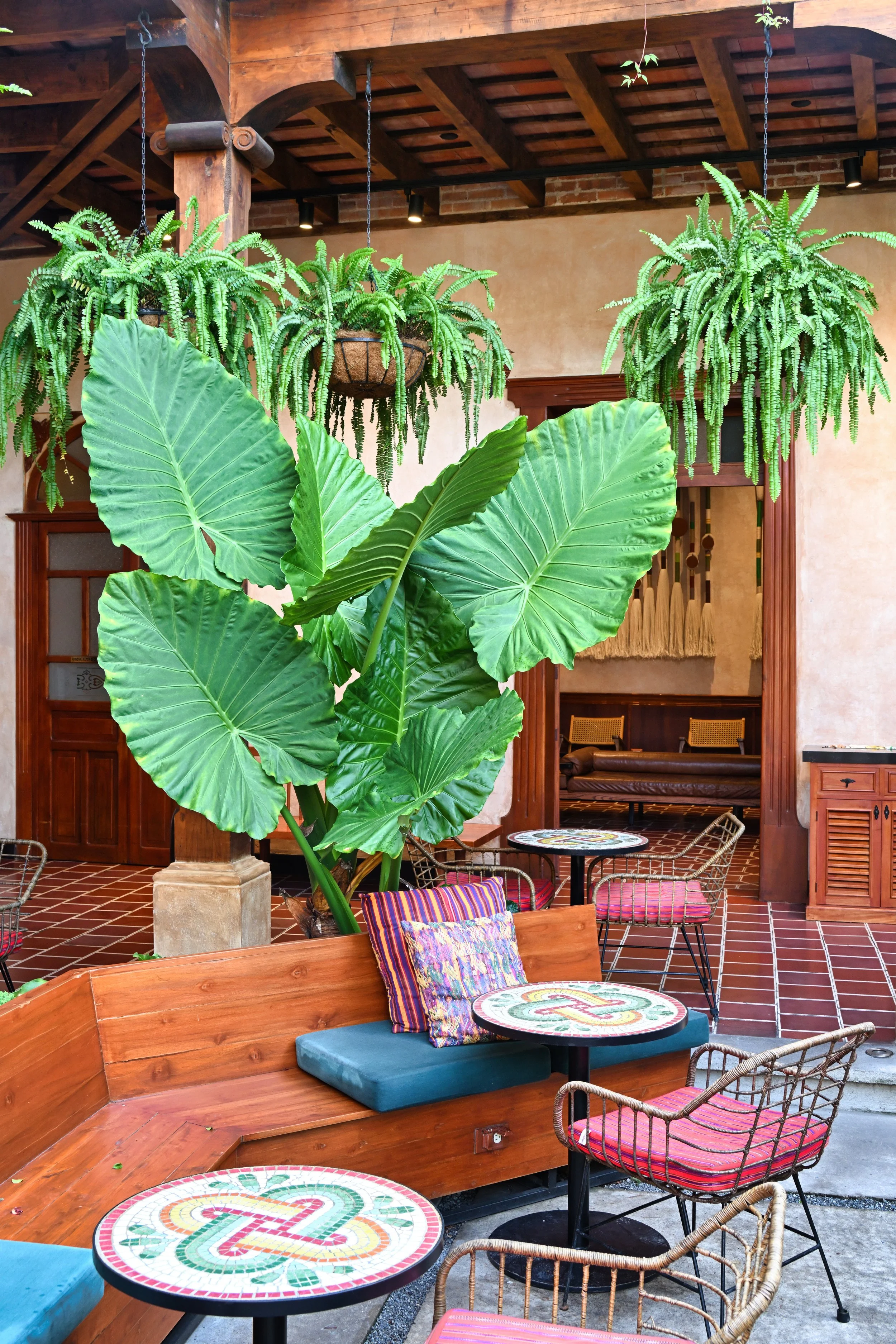 that's what I call LEAVES!