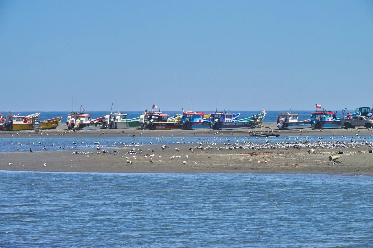  fishing fleet