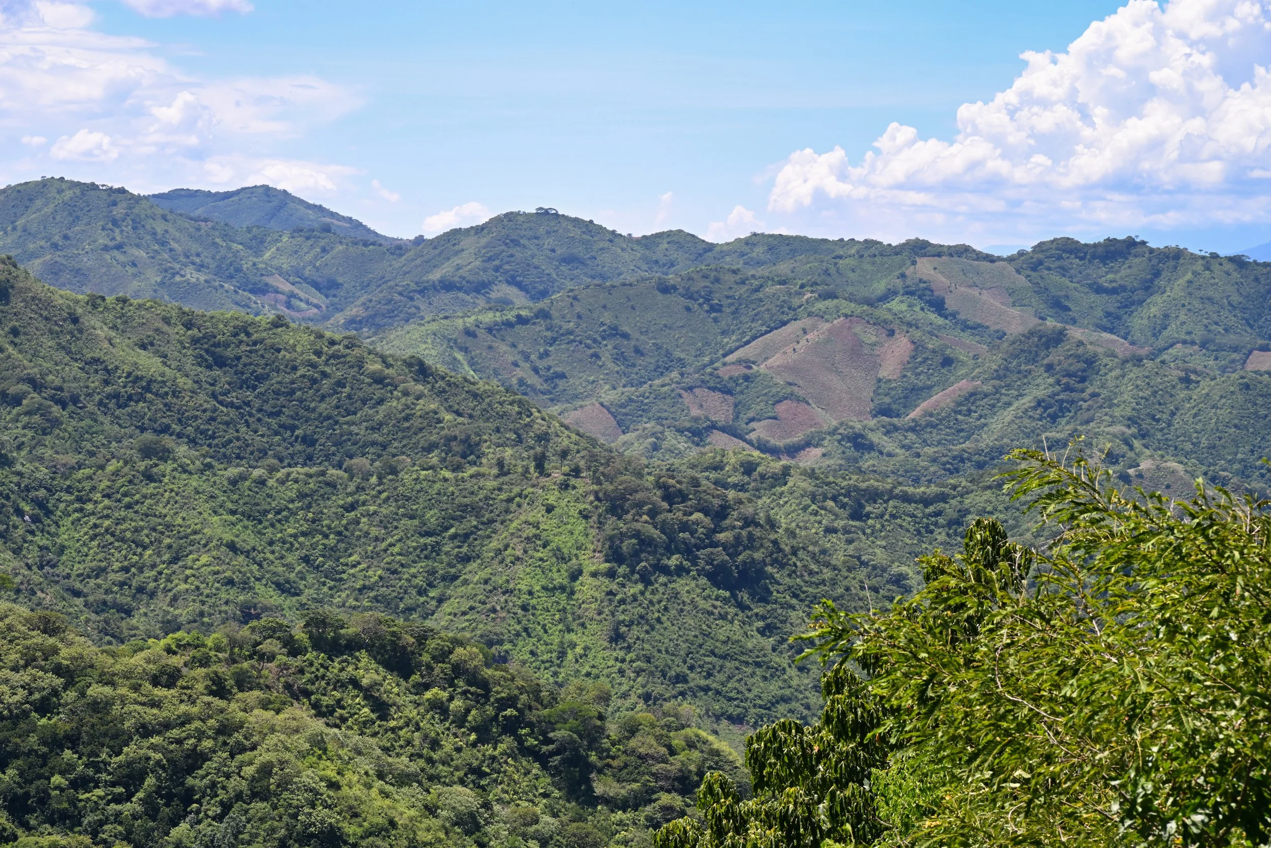 hills, hills and more hills ...