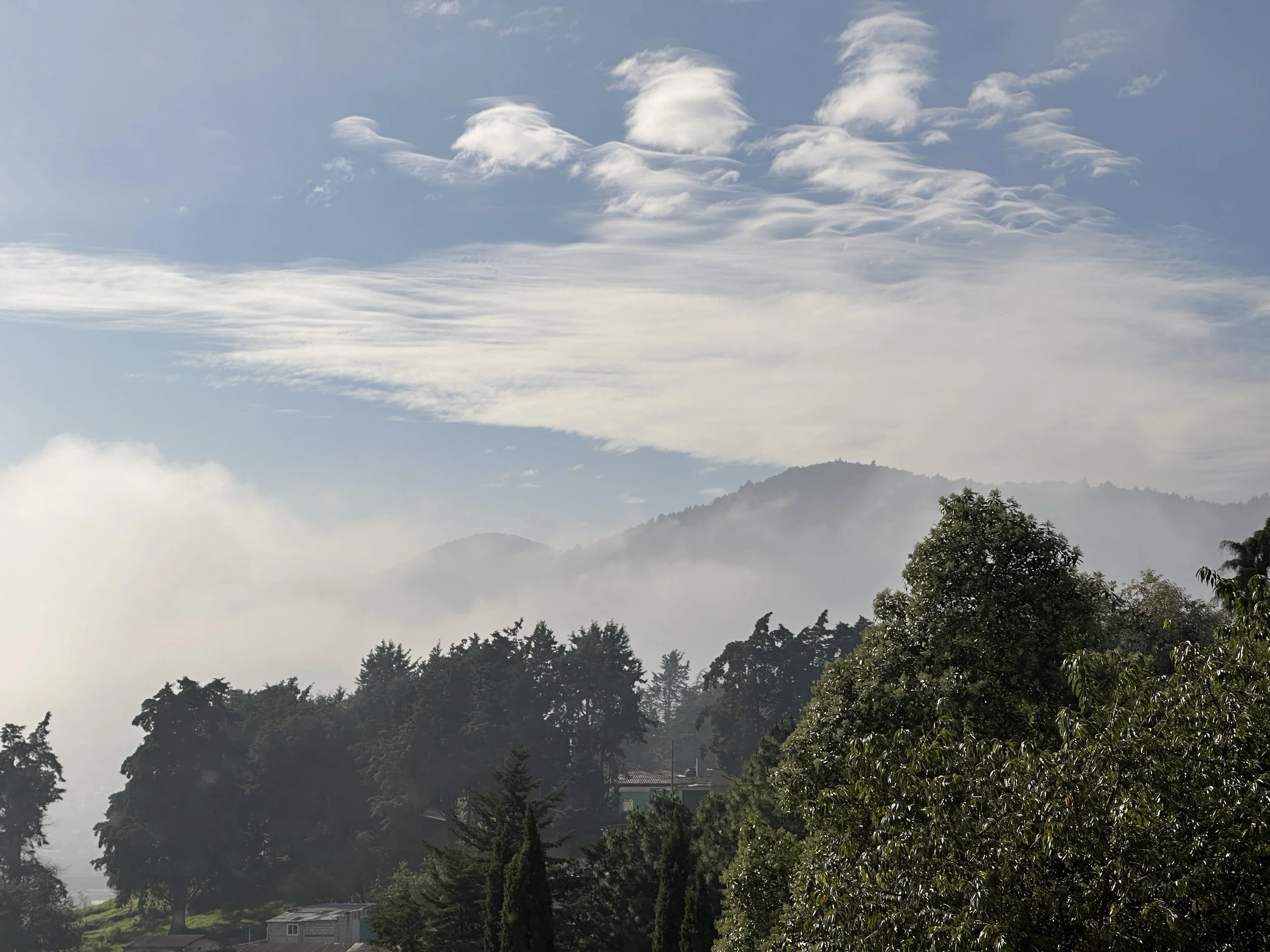 what's that blue stuff???