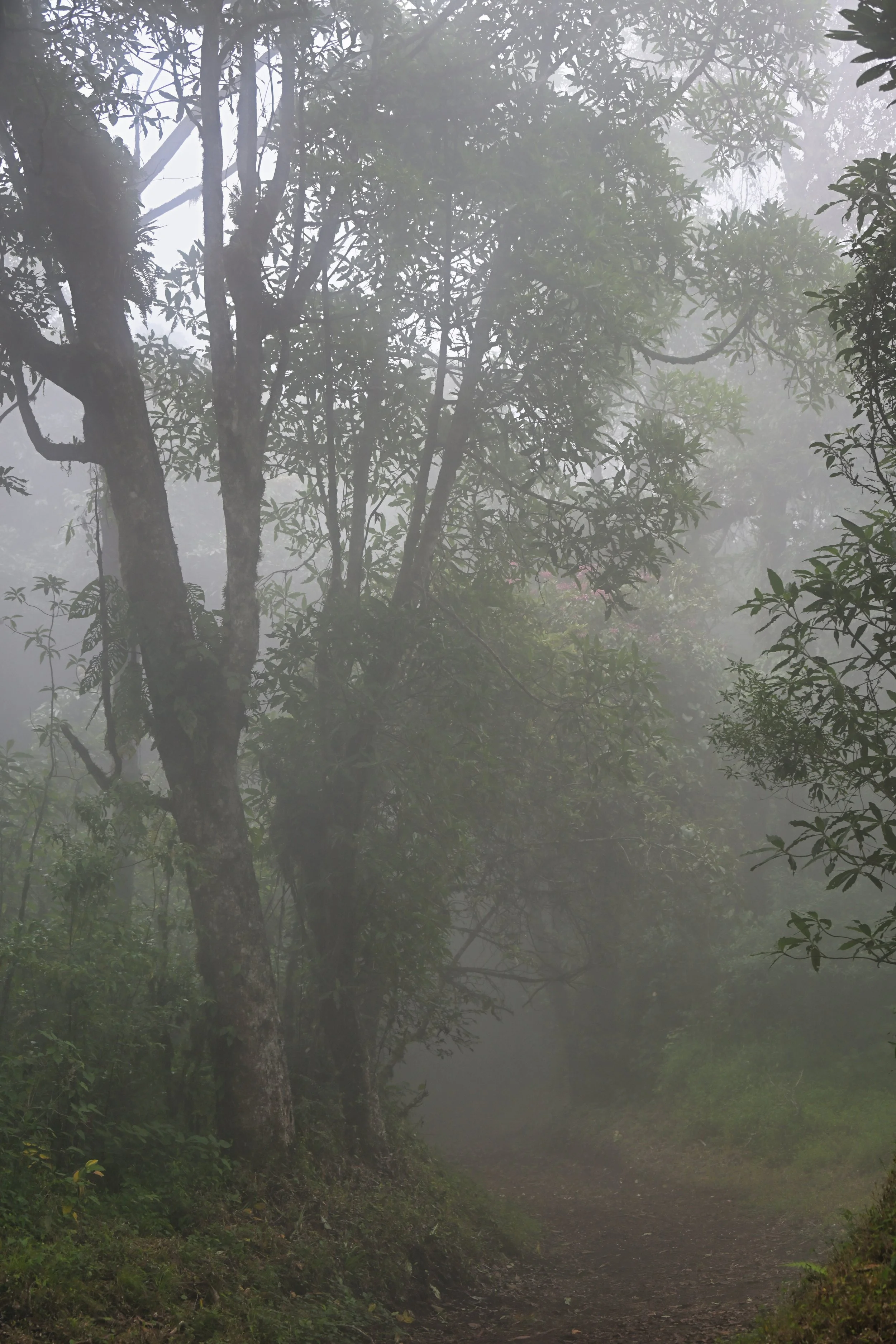 looks pretty cool being in the clouds