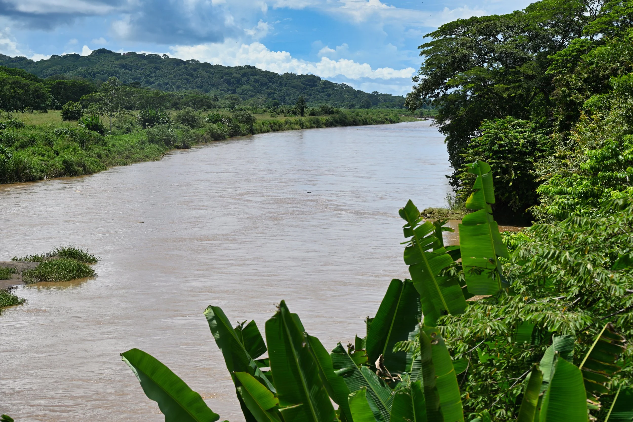 lots of water of the rain