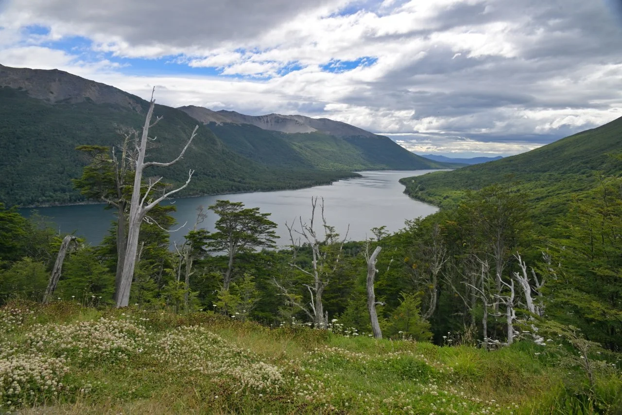  going through the coastal range 50 km from Ushuaia