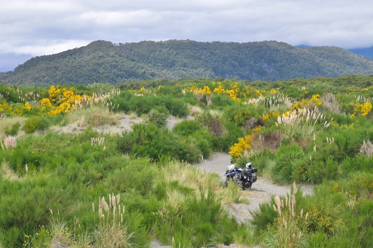  Anybody seen my bike?